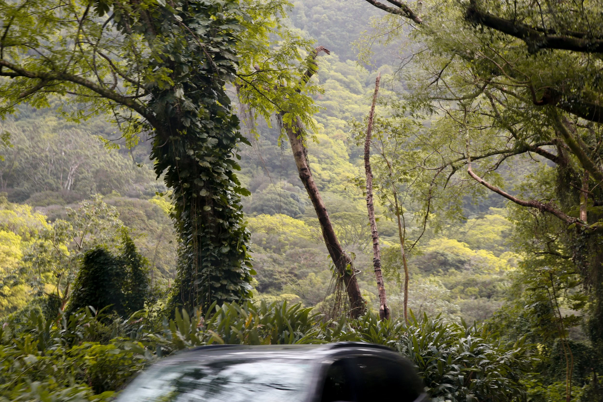 2023-03-03 19.59.48.jpg