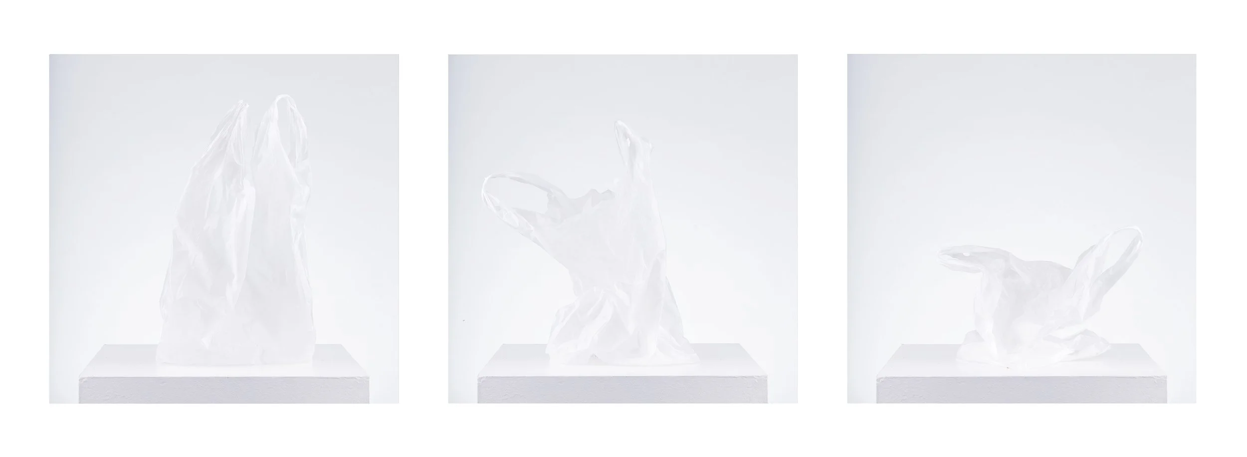 website_concept2.jpg