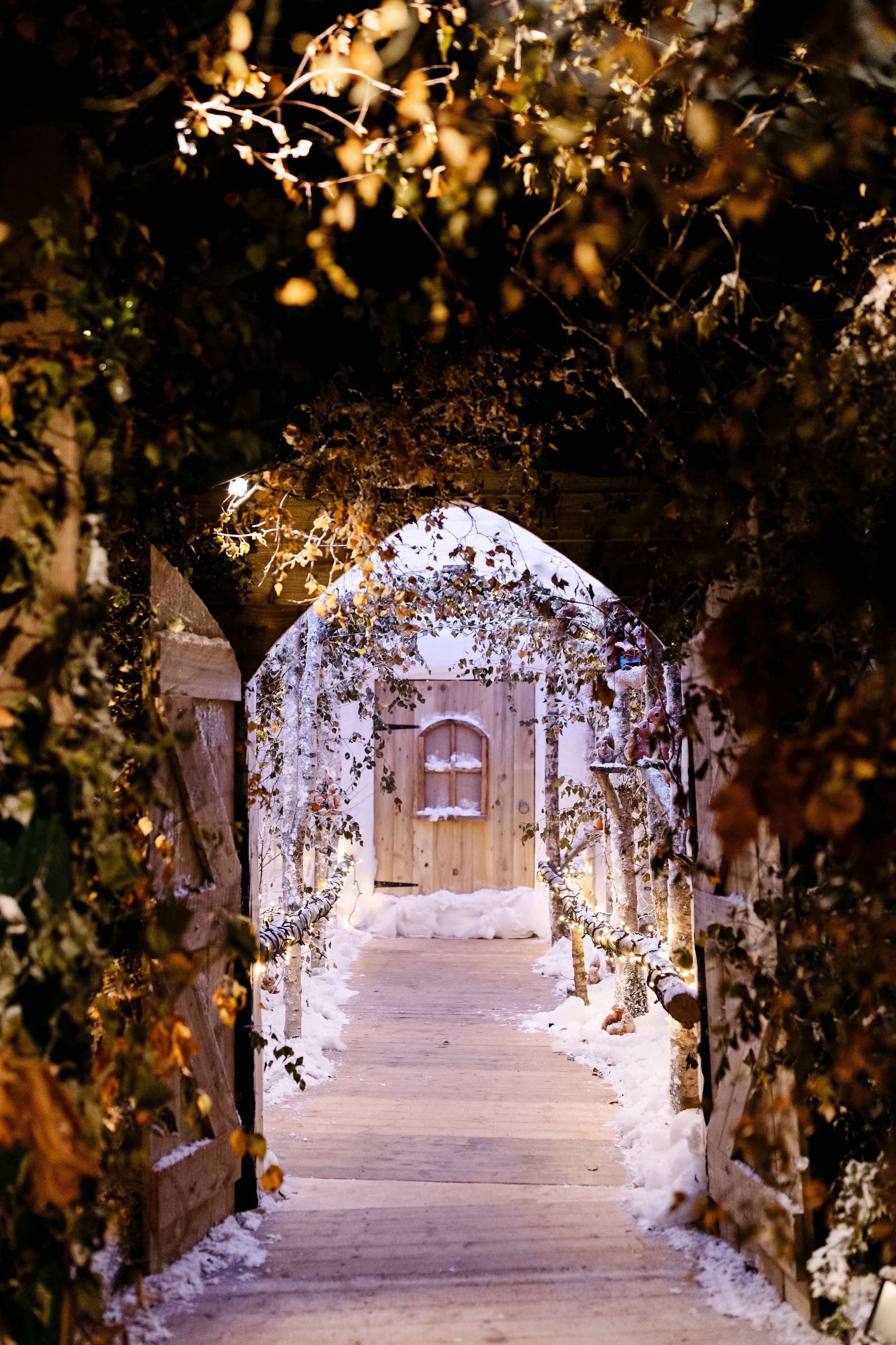 Christmas at Bewl Water