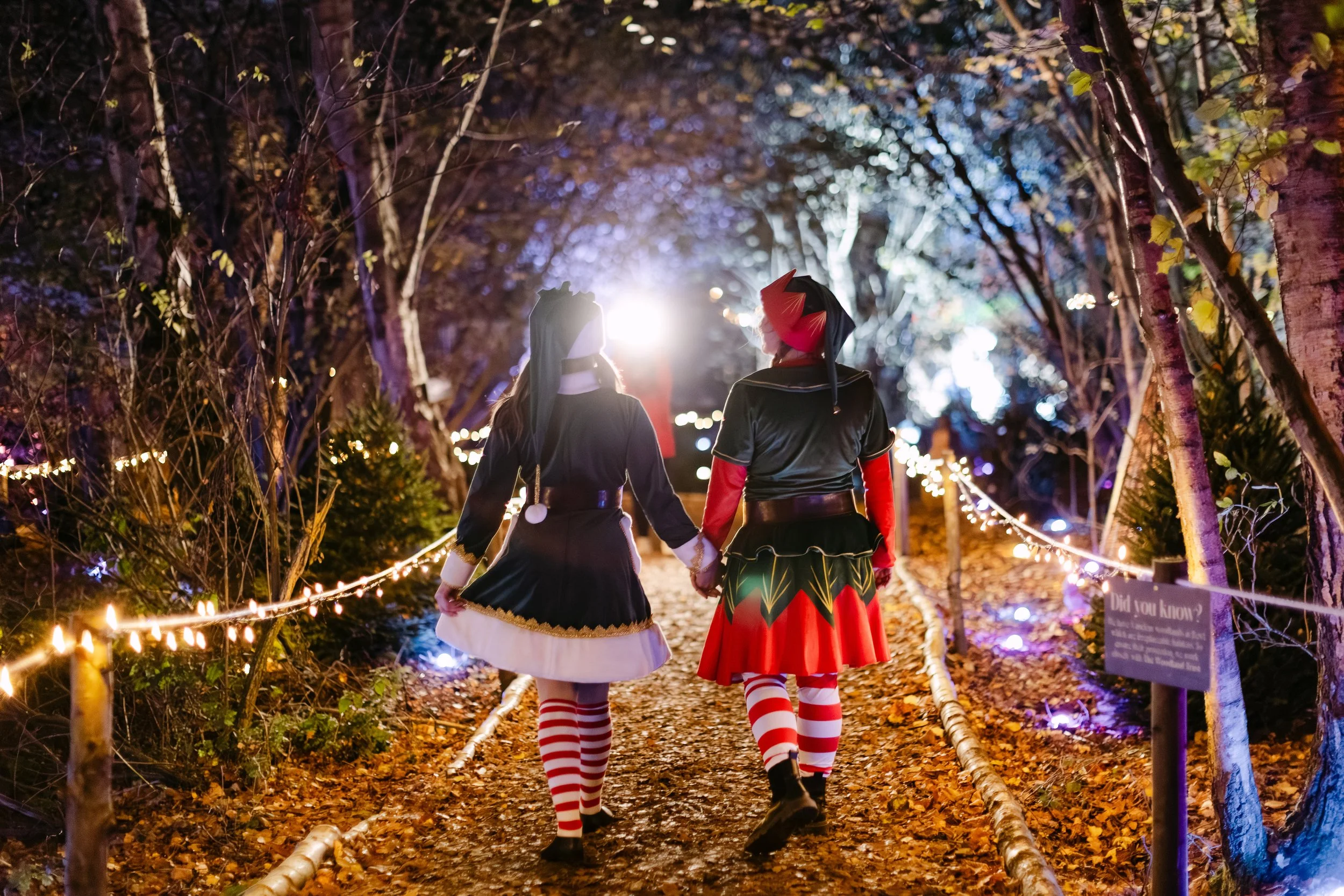 Christmas at Bewl Water-339(Large).jpg