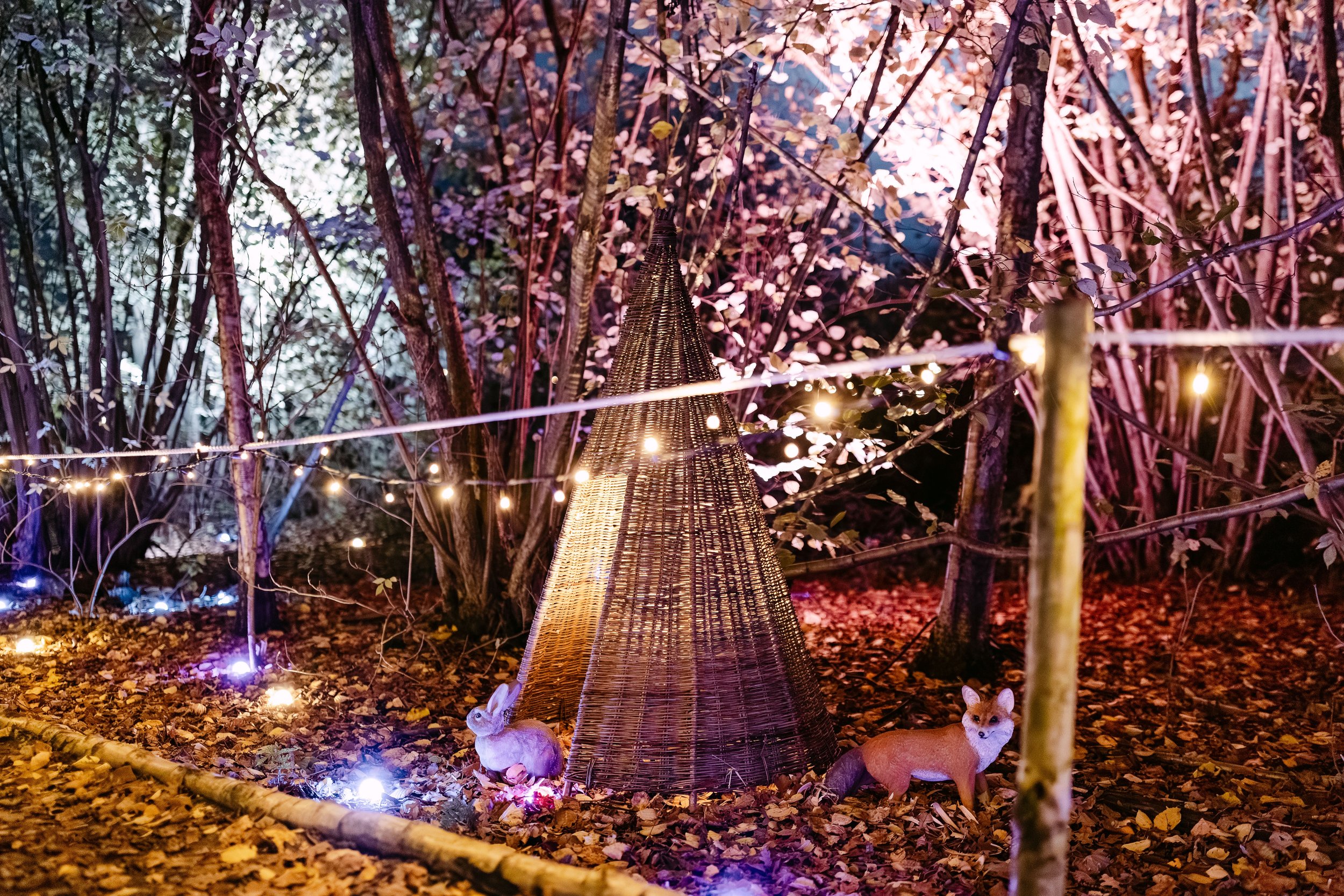 Christmas at Bewl Water-353(Large).jpg