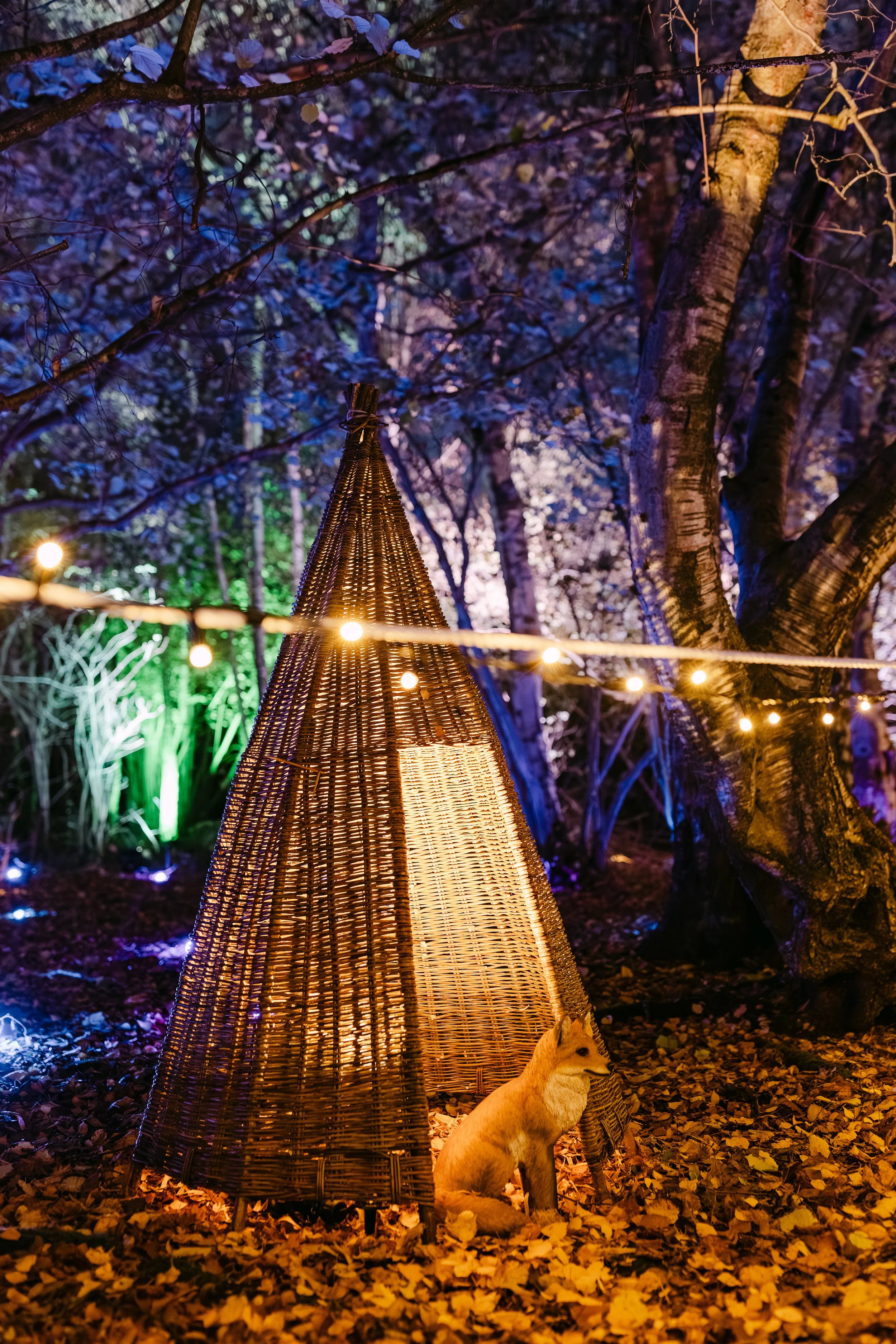 Christmas at Bewl Water-358(Large).jpg