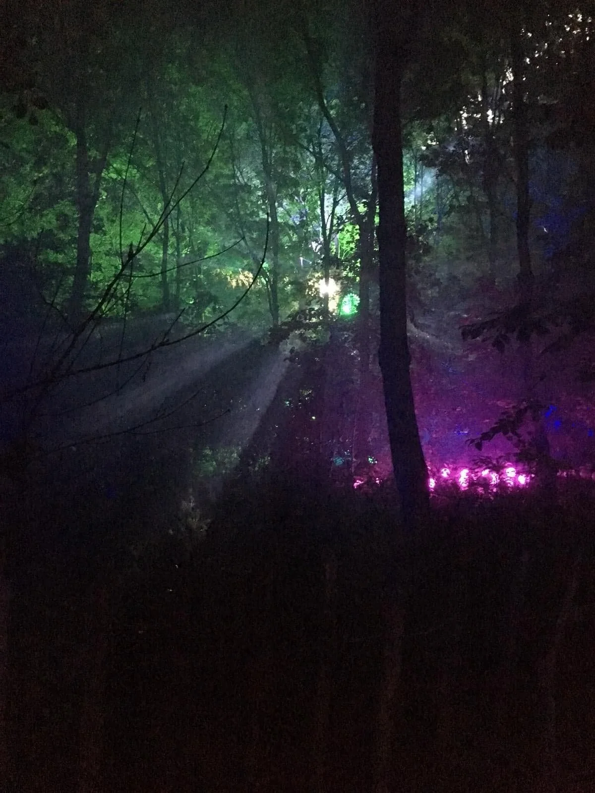 65961912_460302051430529_2312140552256094208_n (1).jpg