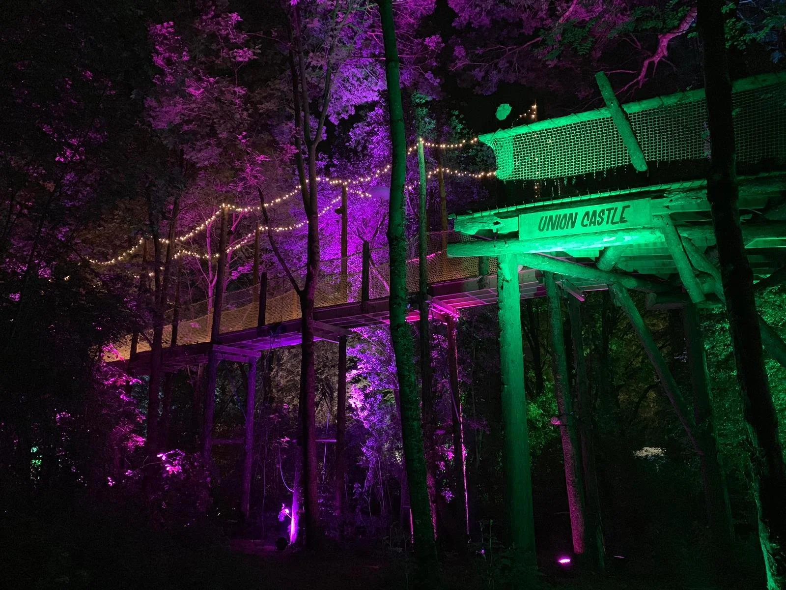 glasto walk way.jpeg