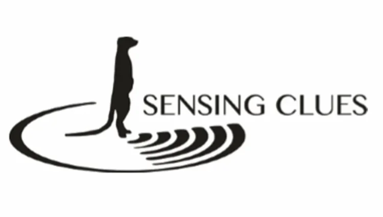 Sensing-Clues.webp
