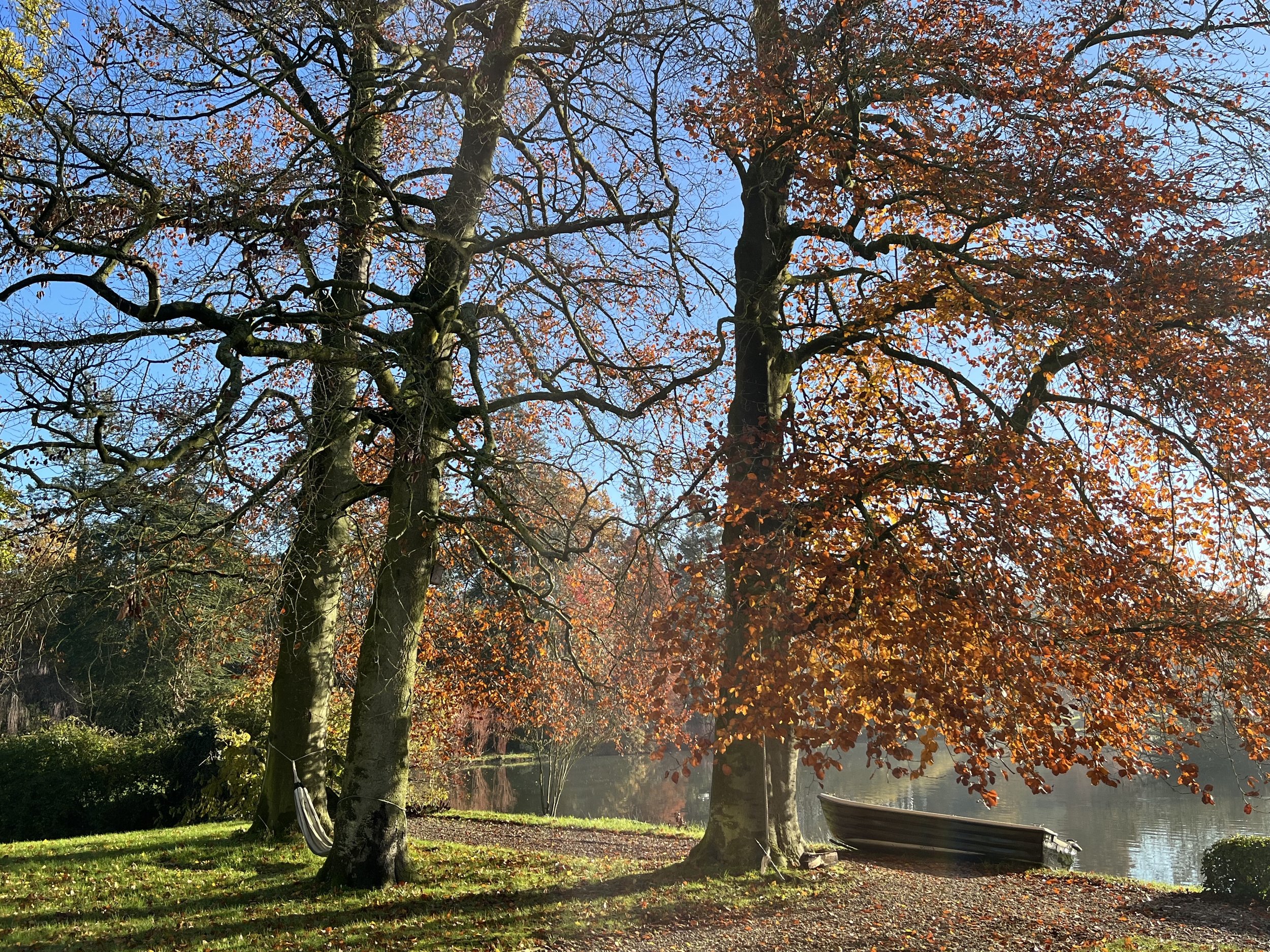 November