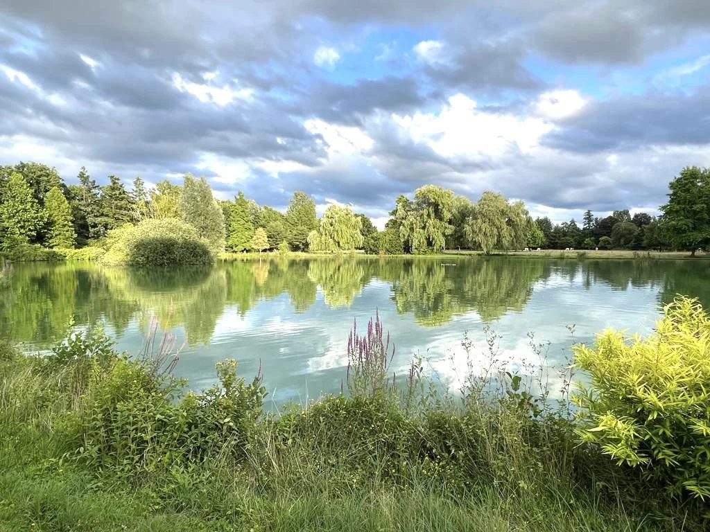 32b32f67-3a5a-462d-abd3-3fa9e4ea1271 (1).jpg