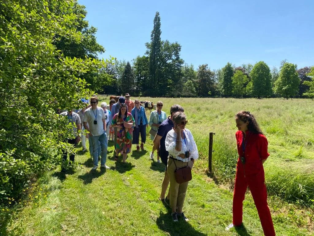 b6078499-5ad5-460c-8951-e3816c8cbedb (2).jpg