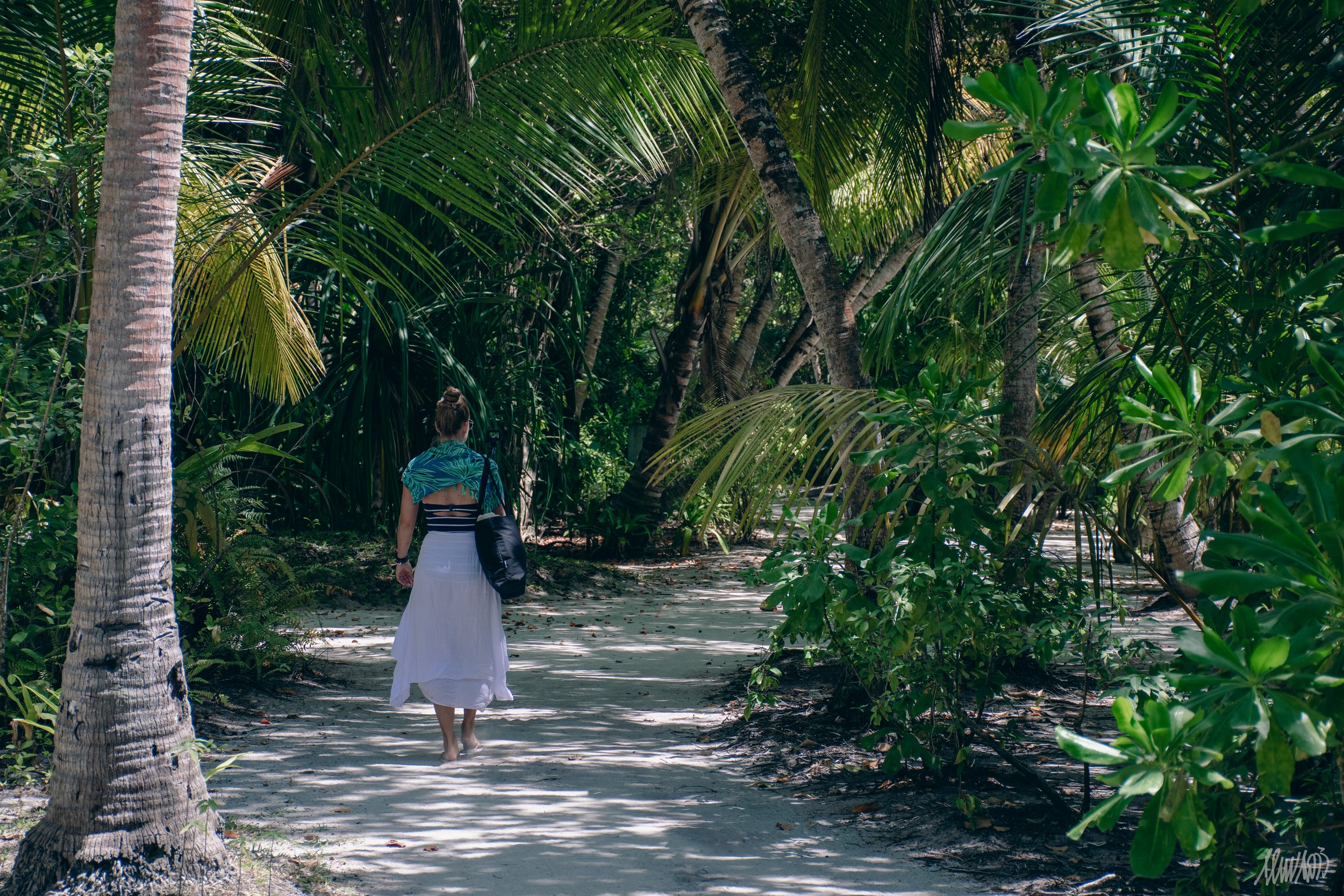 Tending to Your Memory Garden: A Low-Energy Path to Calm