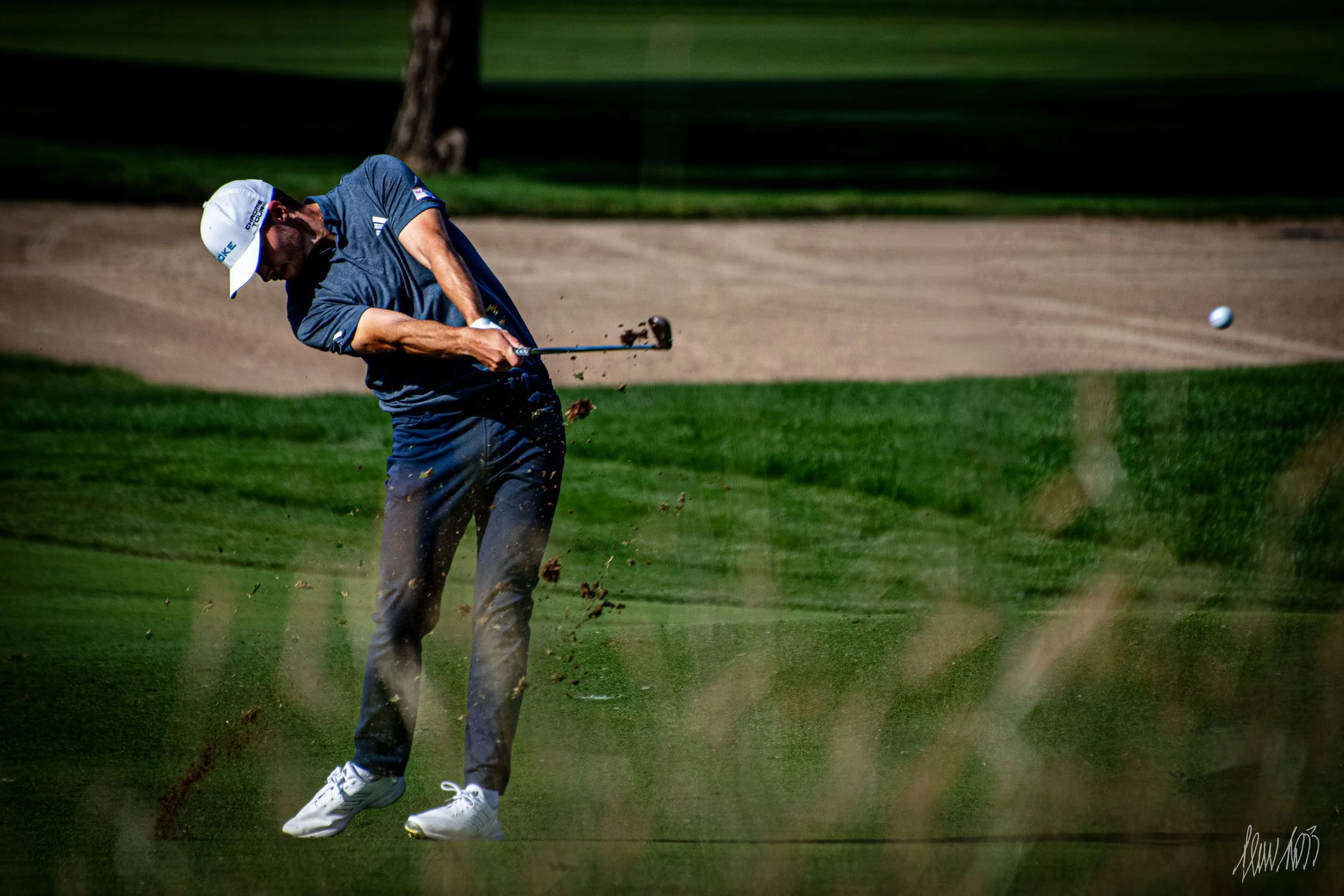 DSC_9114-Edit.jpg