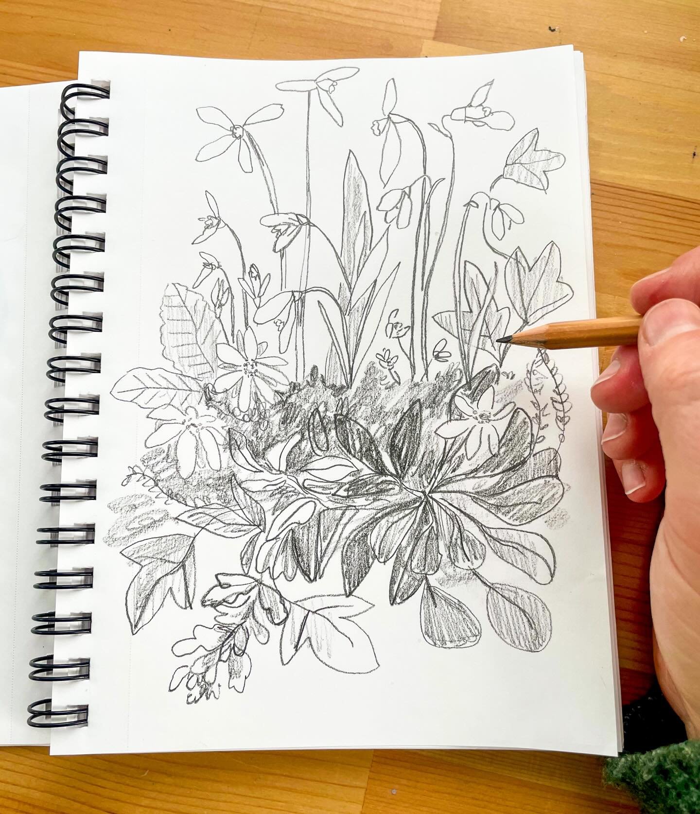 Sunday morning sketch 🌷

#sketchbook #illustration #childrensbookillustration #kidlitillustrator #botanicalillustration