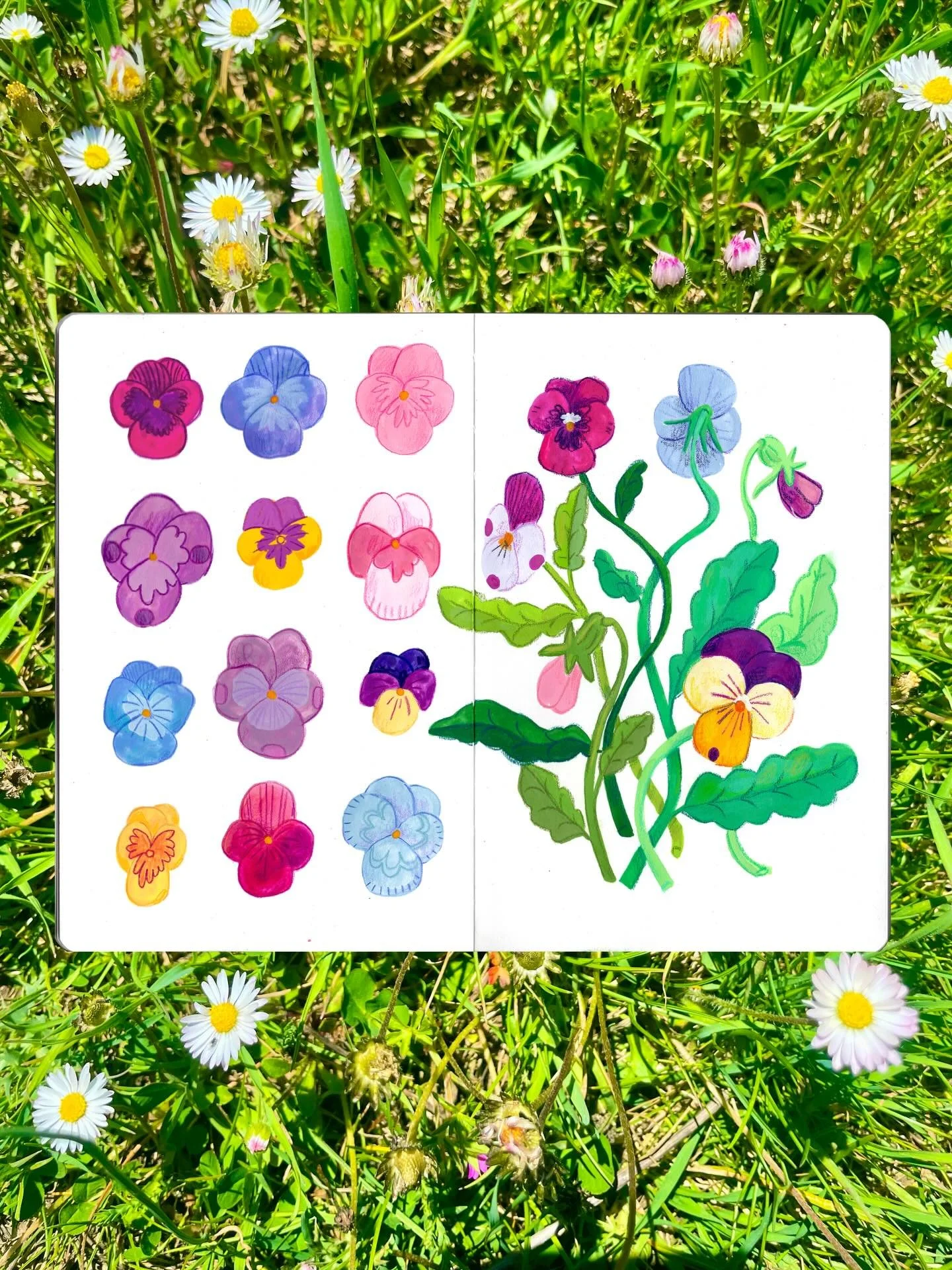 Lil&rsquo; sketchbook spread from yesterday. 

Check out my most recent reel to see the process. 

🌷✨

#illustration #sketchbook #gouache #childrensillustration #flowerpaintings