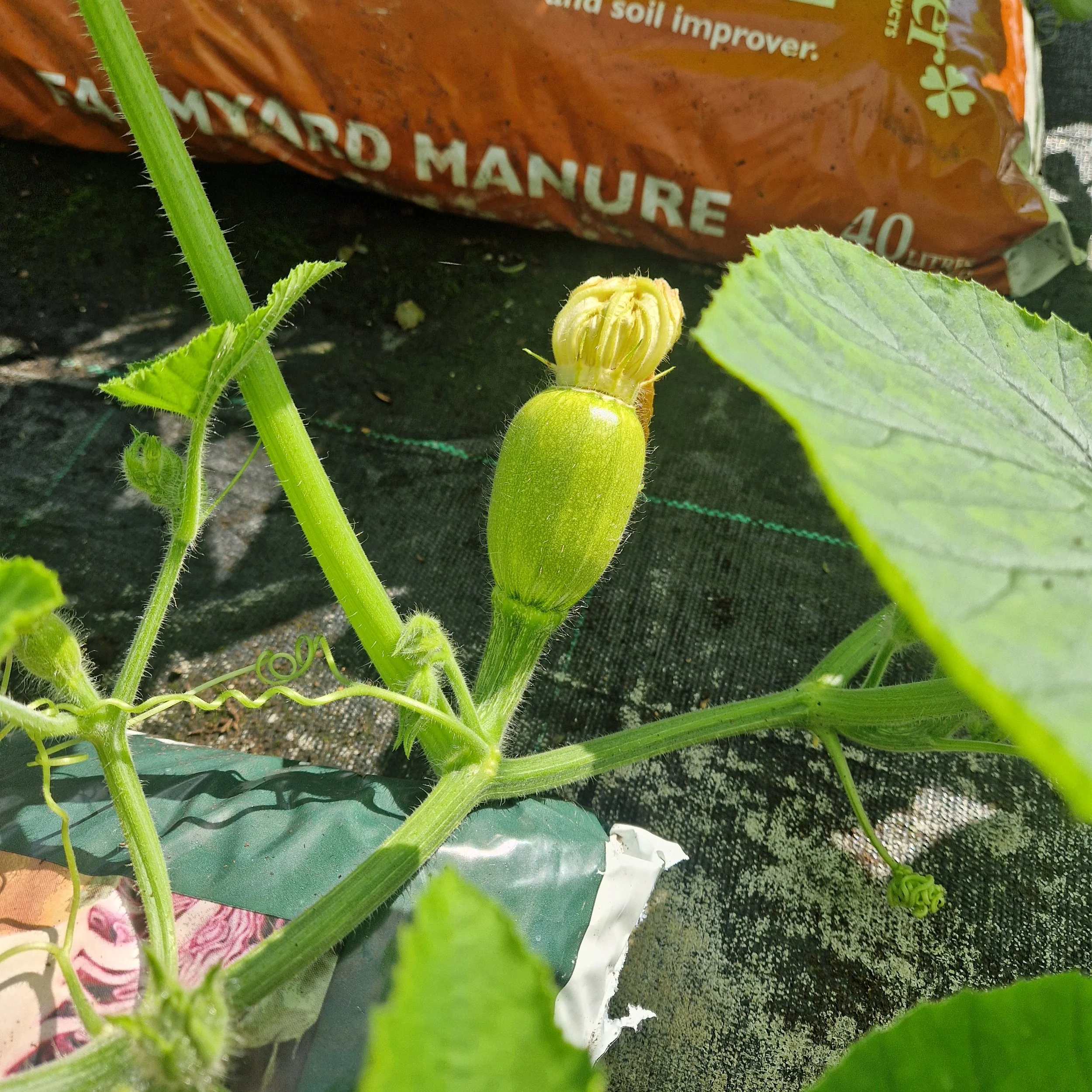 20260708_094615.jpg