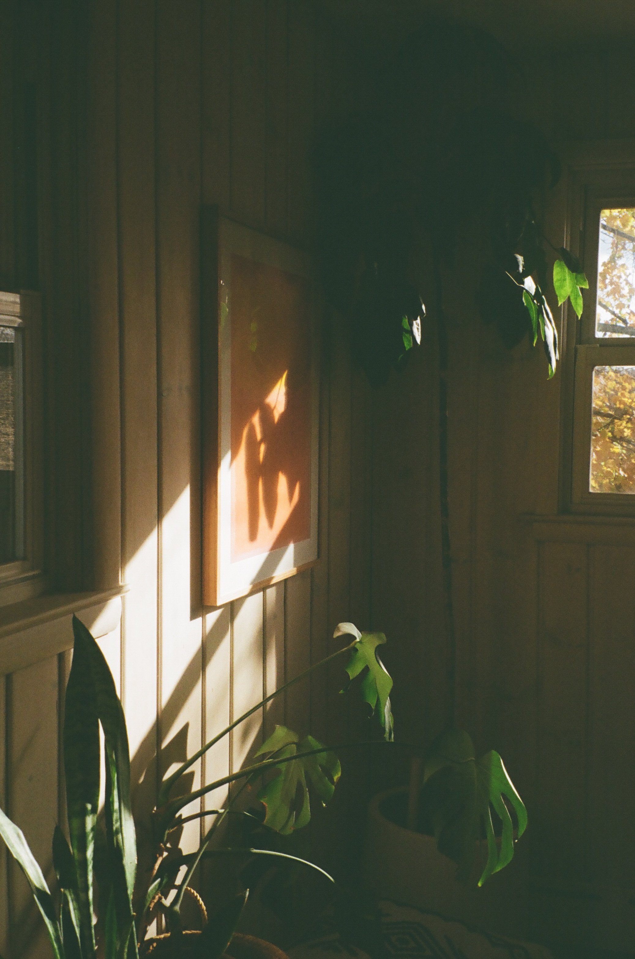 000312900021 copy.jpg