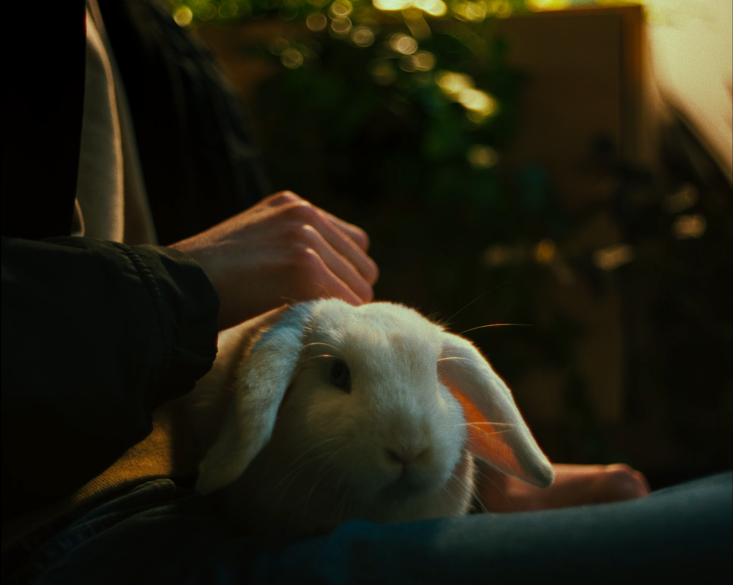 Screenshot 2023-04-22 at 14.06.39.PNG