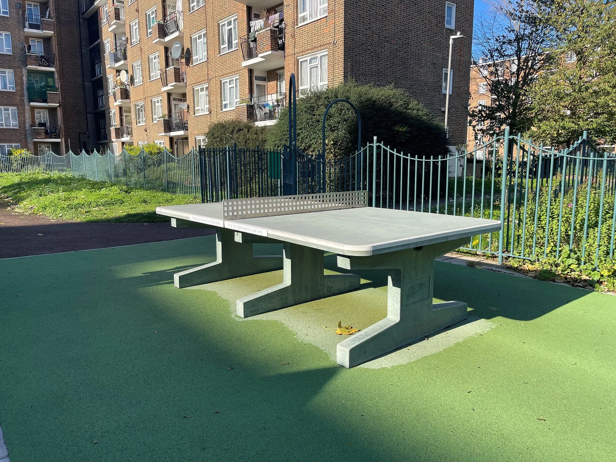 Table Tennis in Play Area between Beattie and Bonsor Houses.jpg