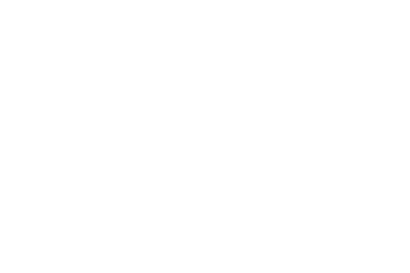vfb-fussball-luebeck.png