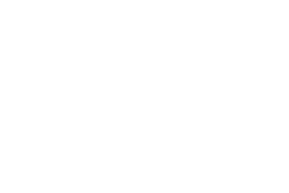 saselhaus.png