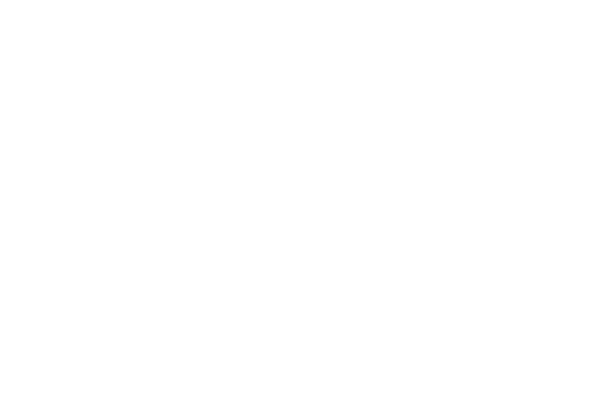 Buddenbrookhaus Lübeck 2.png