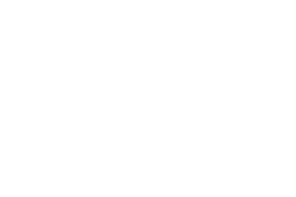 Europäisches Hansemuseum.png