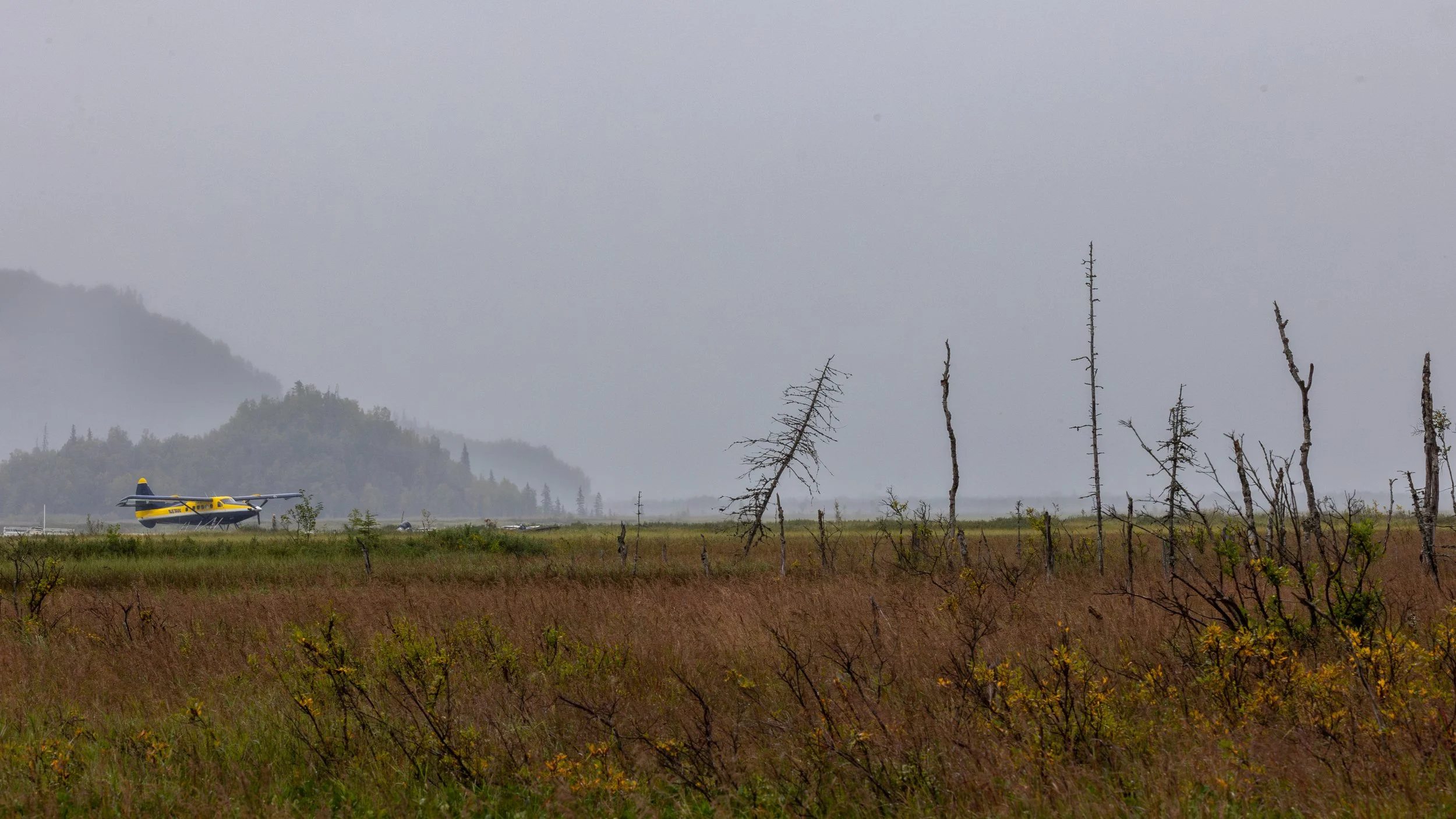 NE5A8645-Enhanced-NR.jpg