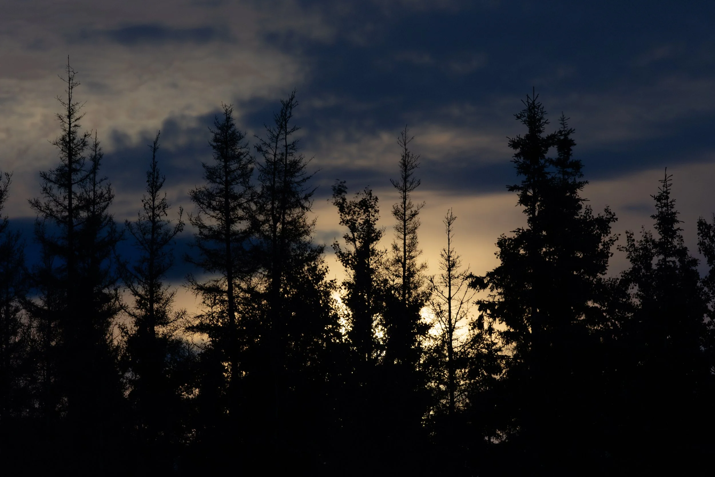 IMGL3520-Enhanced-NR.jpg