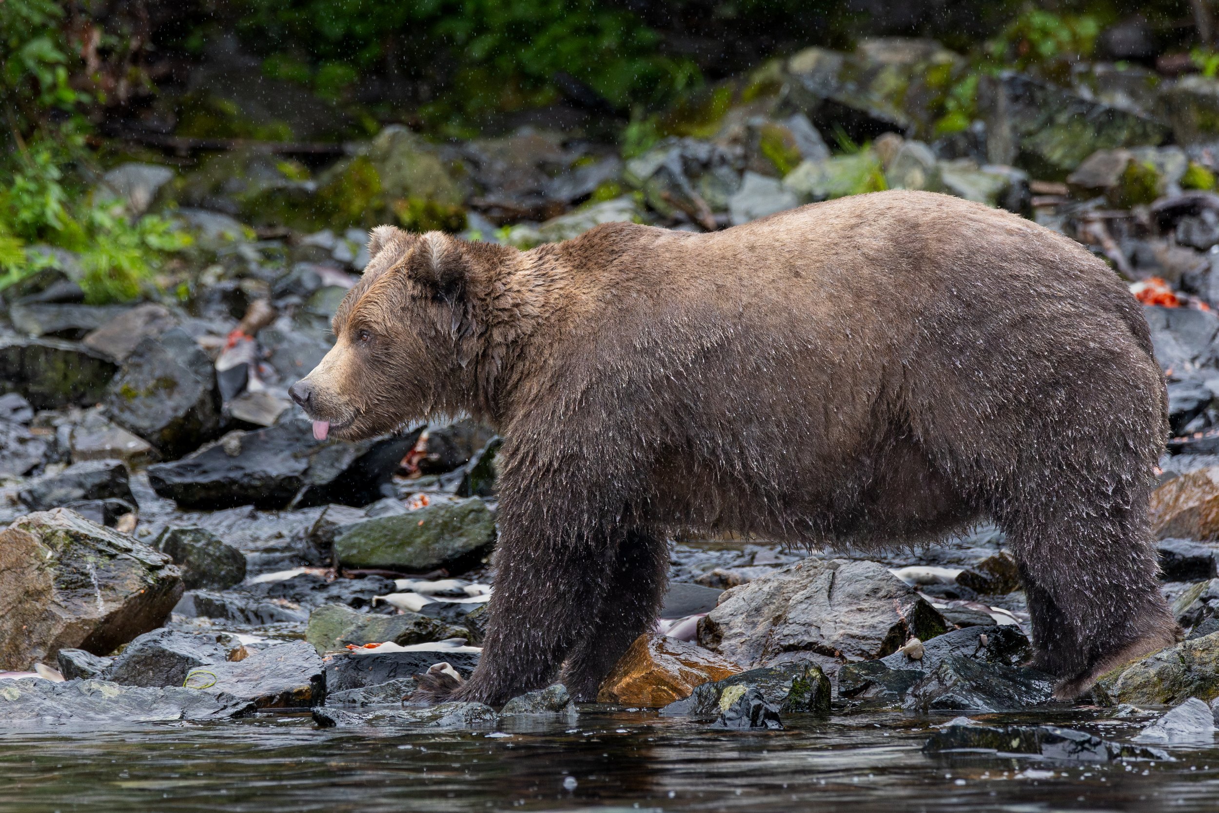 NE5A8842-Enhanced-NR.jpg