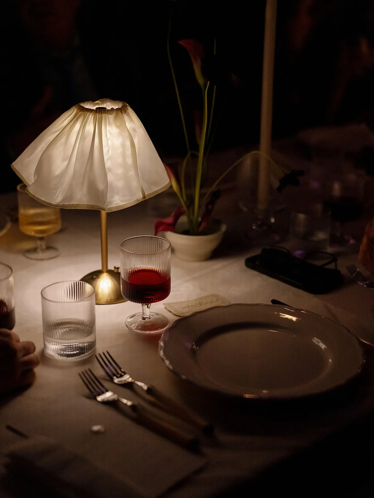34-kelseycowley_ally&spencer_dinner_websize.jpg