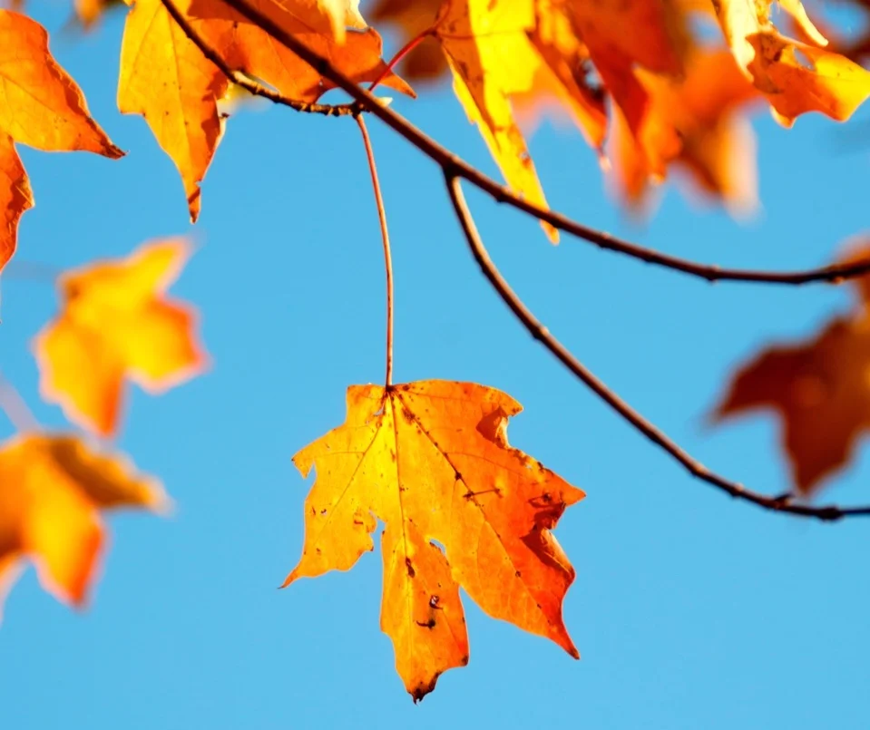 Welcome, Lovely September