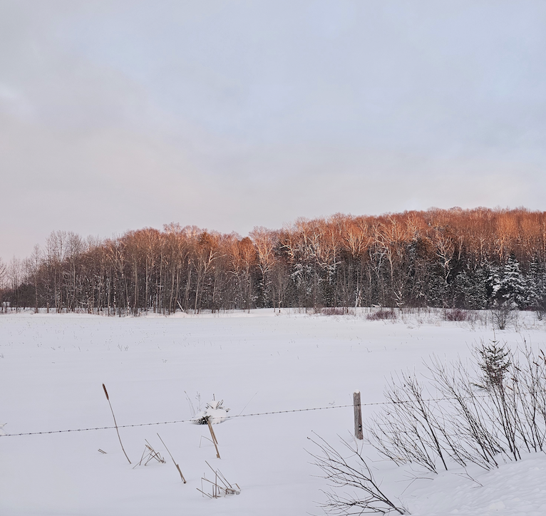 You Are Already Whole