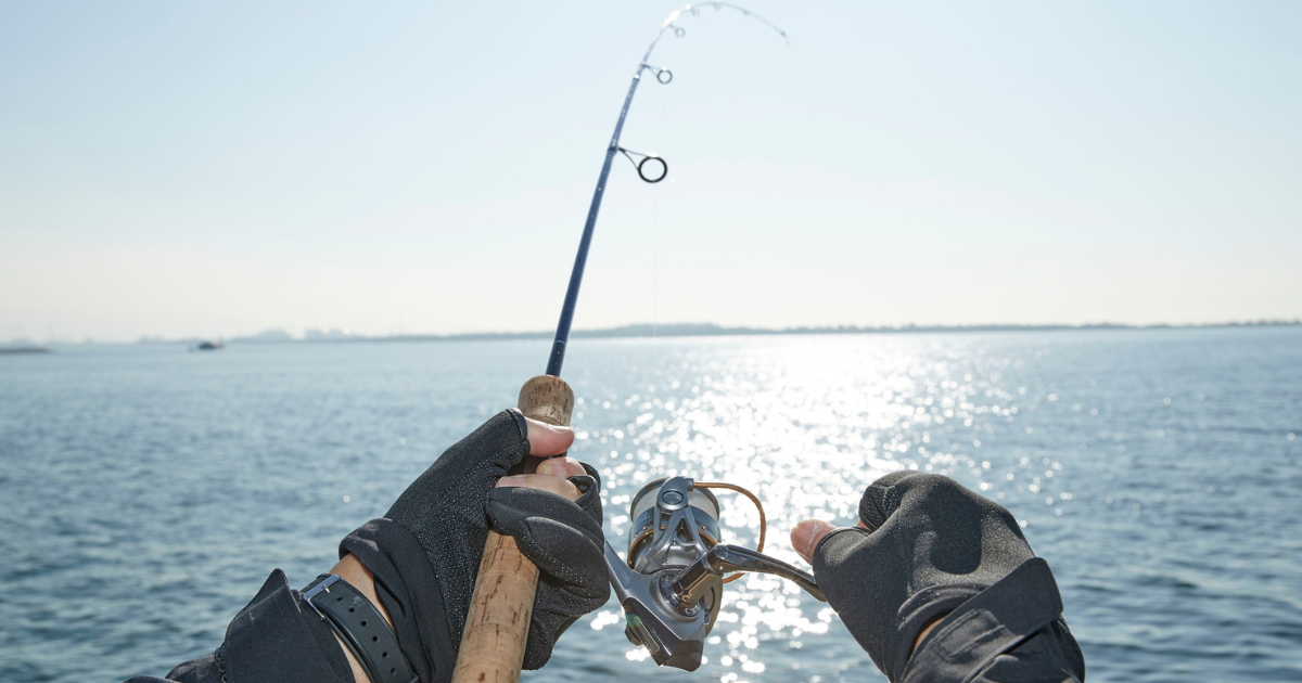 Fishing in North Captiva Island: Best Seasons by Fish Type
