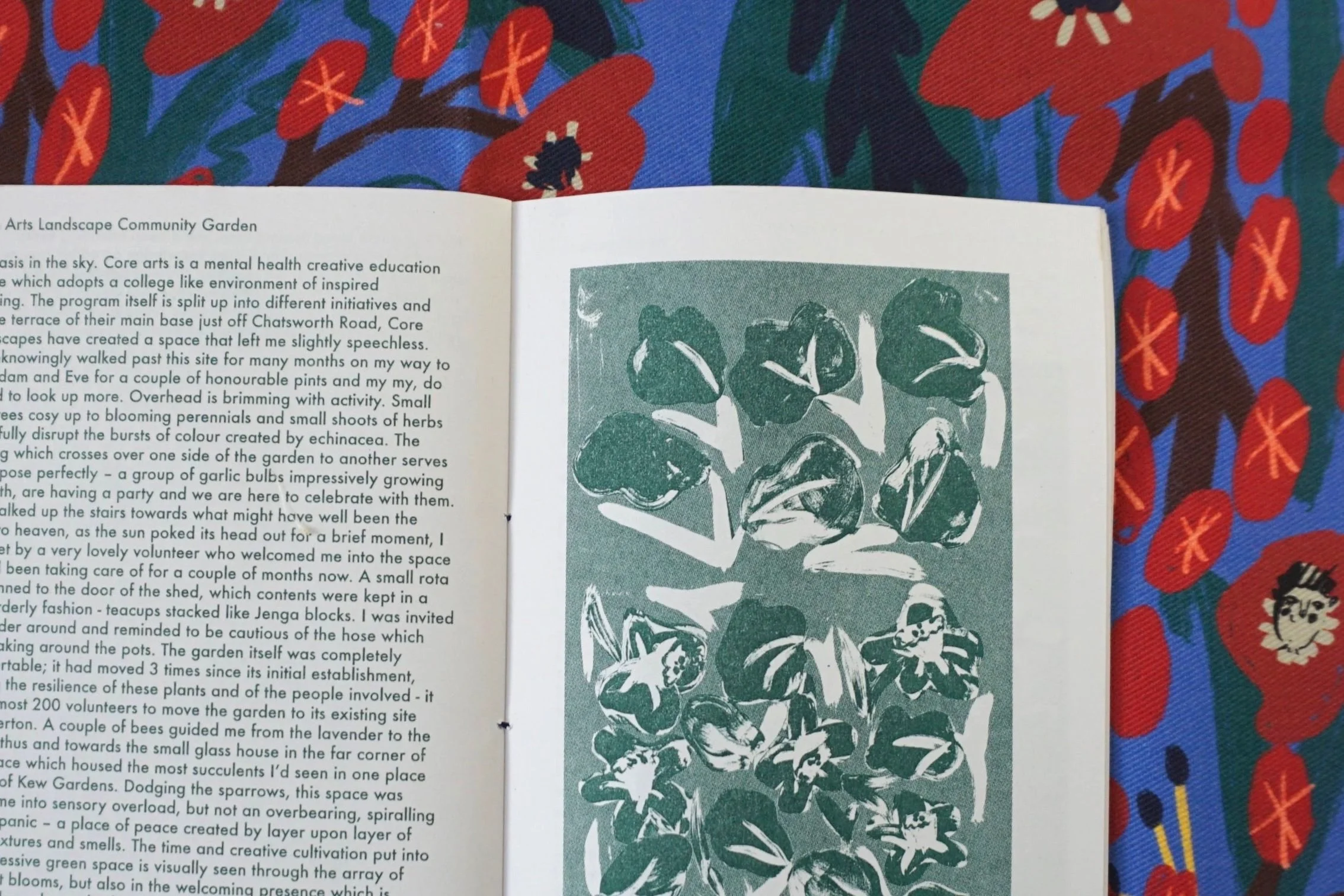 bookpic2.jpg