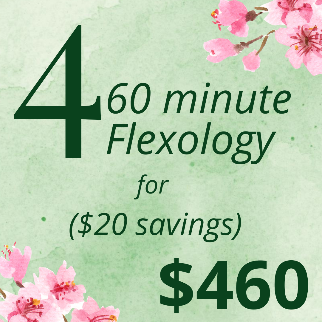 Promotion for 4 weekly 60-minute flexibility classes for $460, saving $20, with pink cherry blossom flowers in top right and bottom left corners.