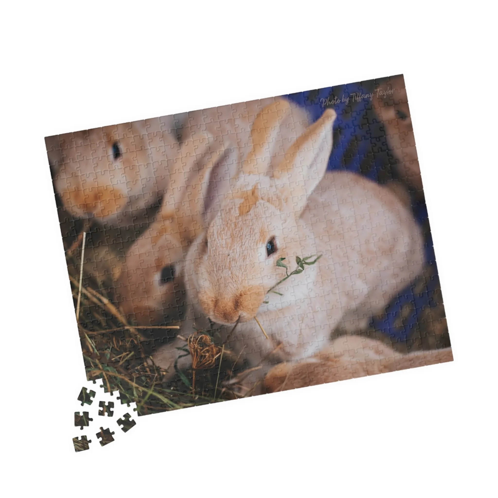 2dc2374f86c00d518eabcb8651982aba