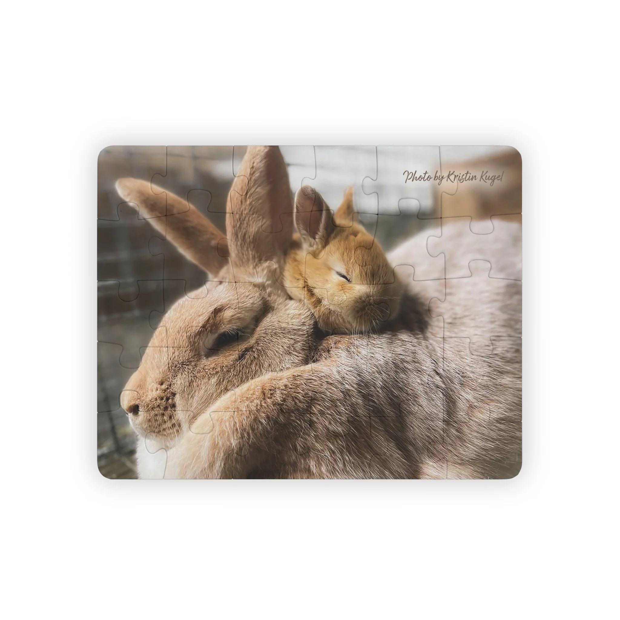 e28797f8a7a08868a5ffa03c3a486936