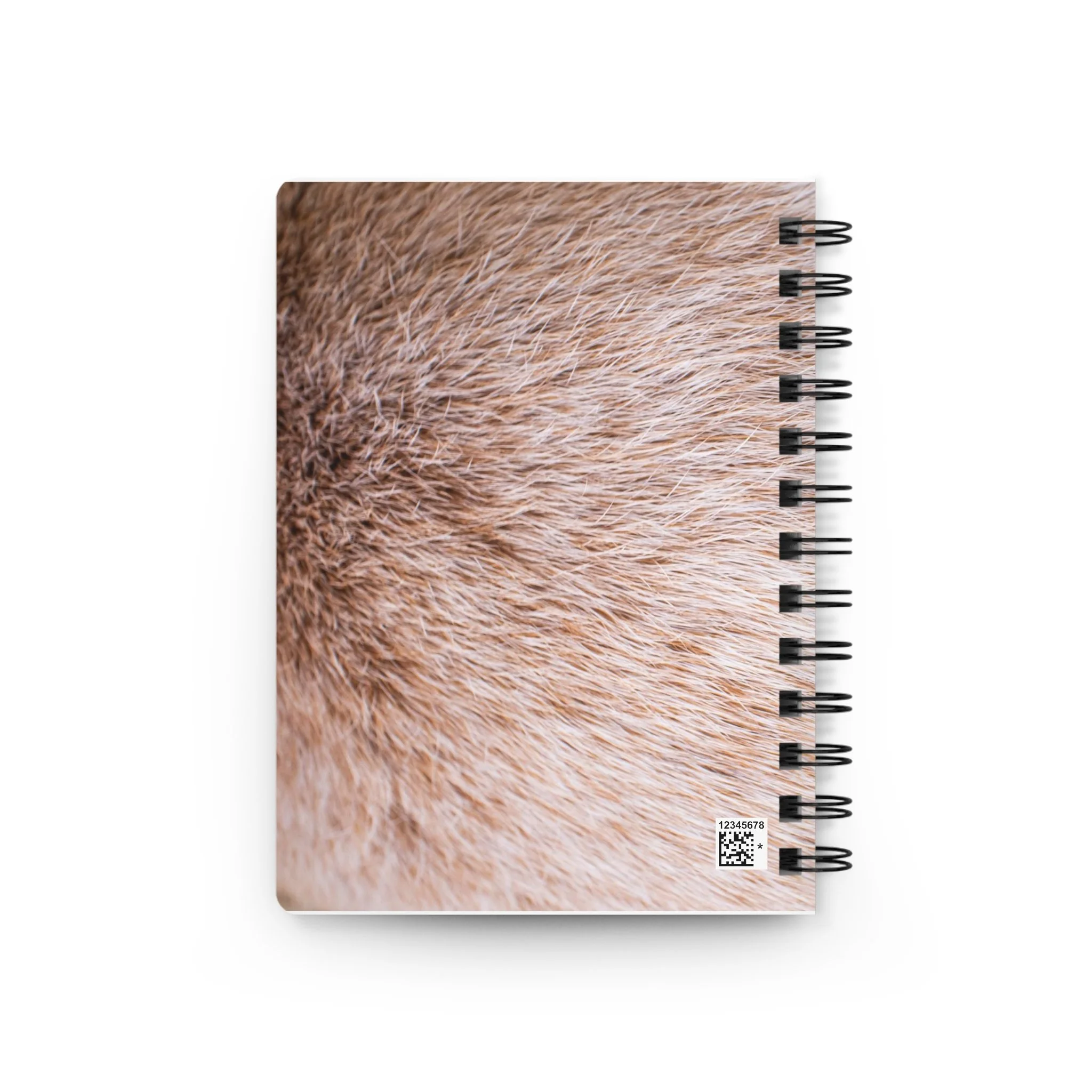 a8b1e96f2d36990237504ee52b4e1726