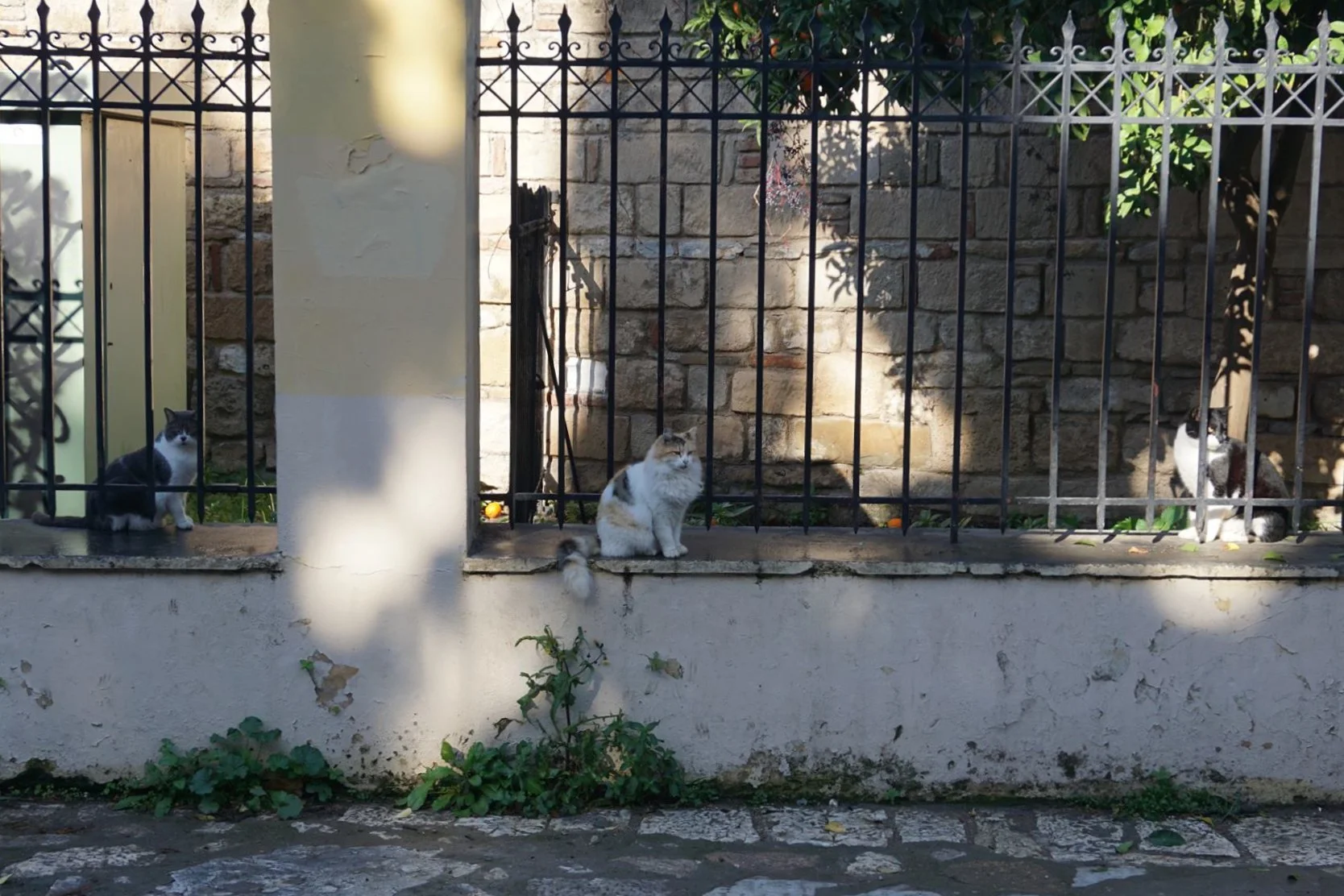 In the mood for daily life