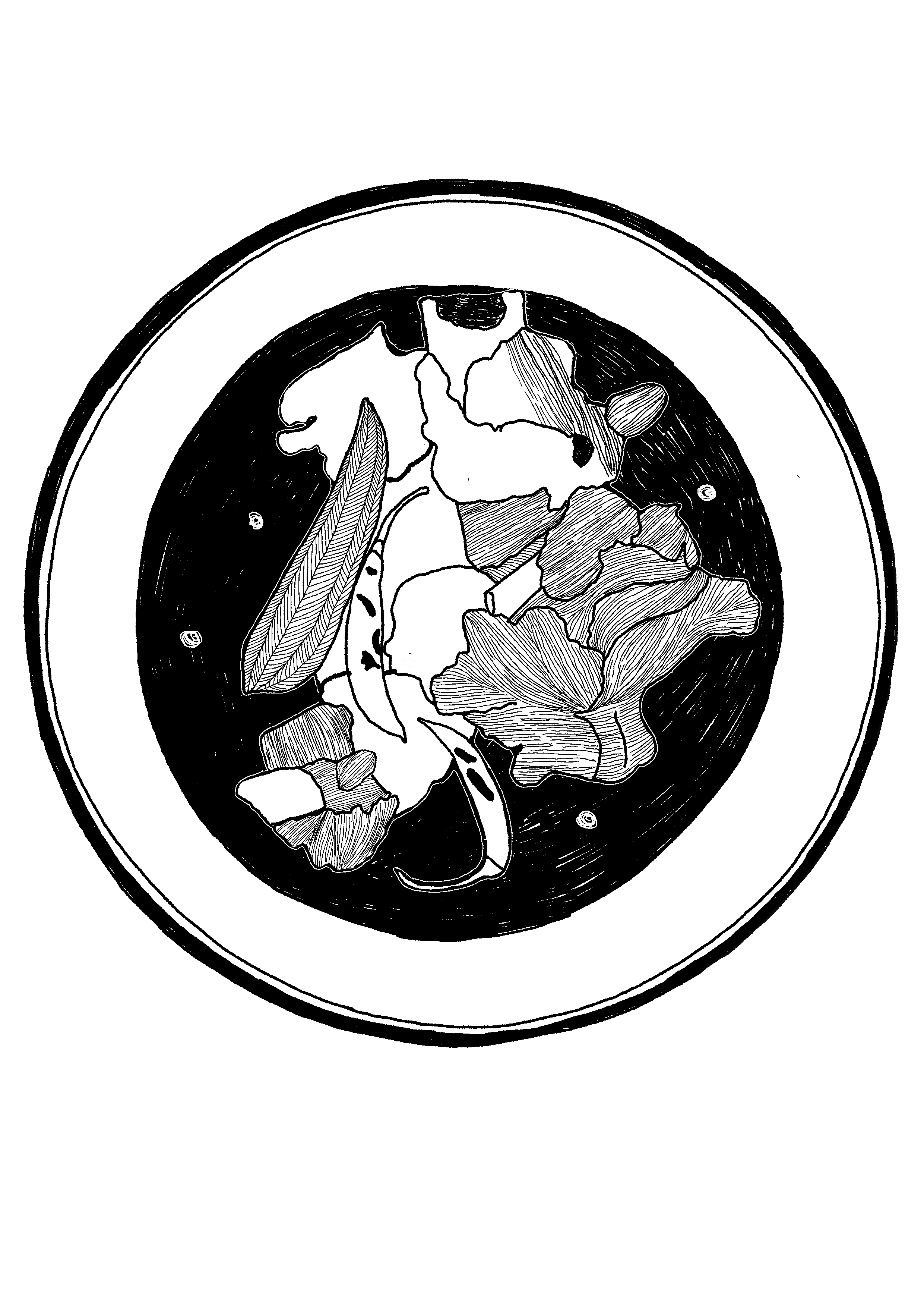 Untitled_Artwork 4.png