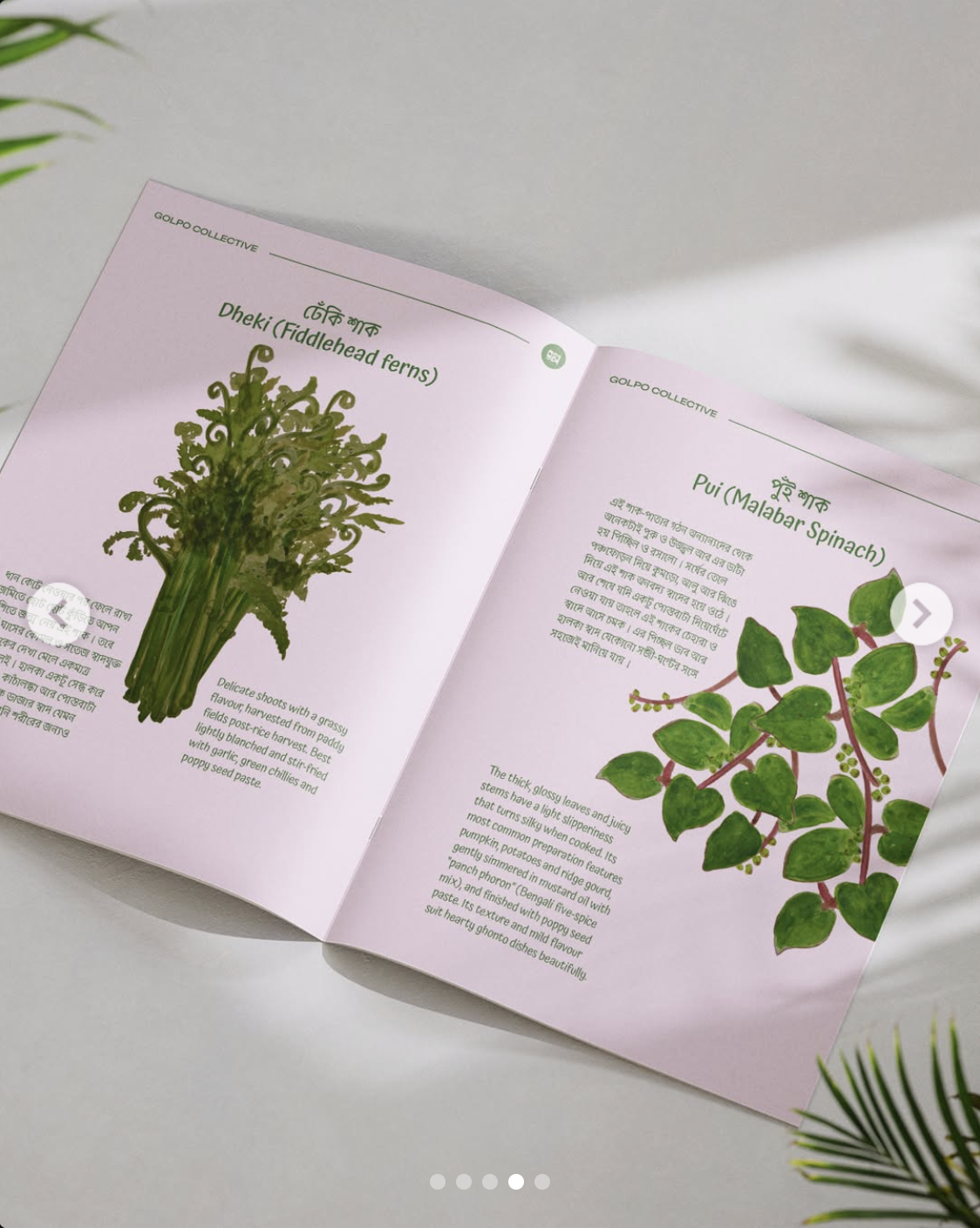 Screenshot 2026-01-08 at 00.22.28.png