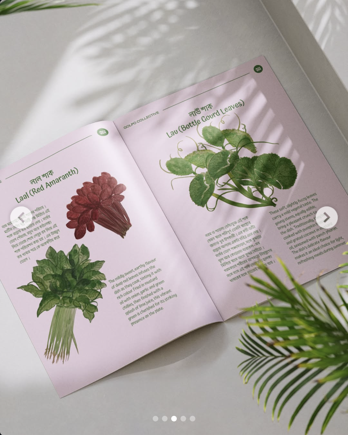 Screenshot 2026-01-08 at 00.22.17.png