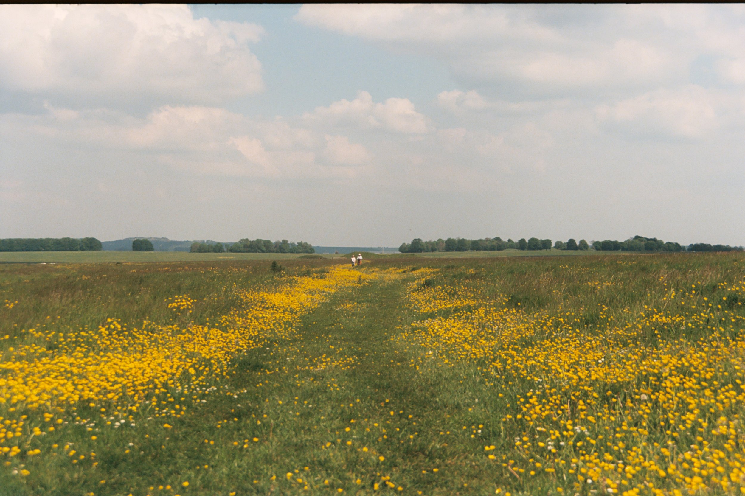AA004 (3).jpg