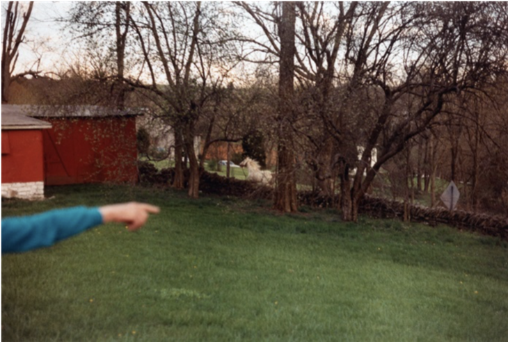 William Eggleston, Untitled 1983 (Kentucky)