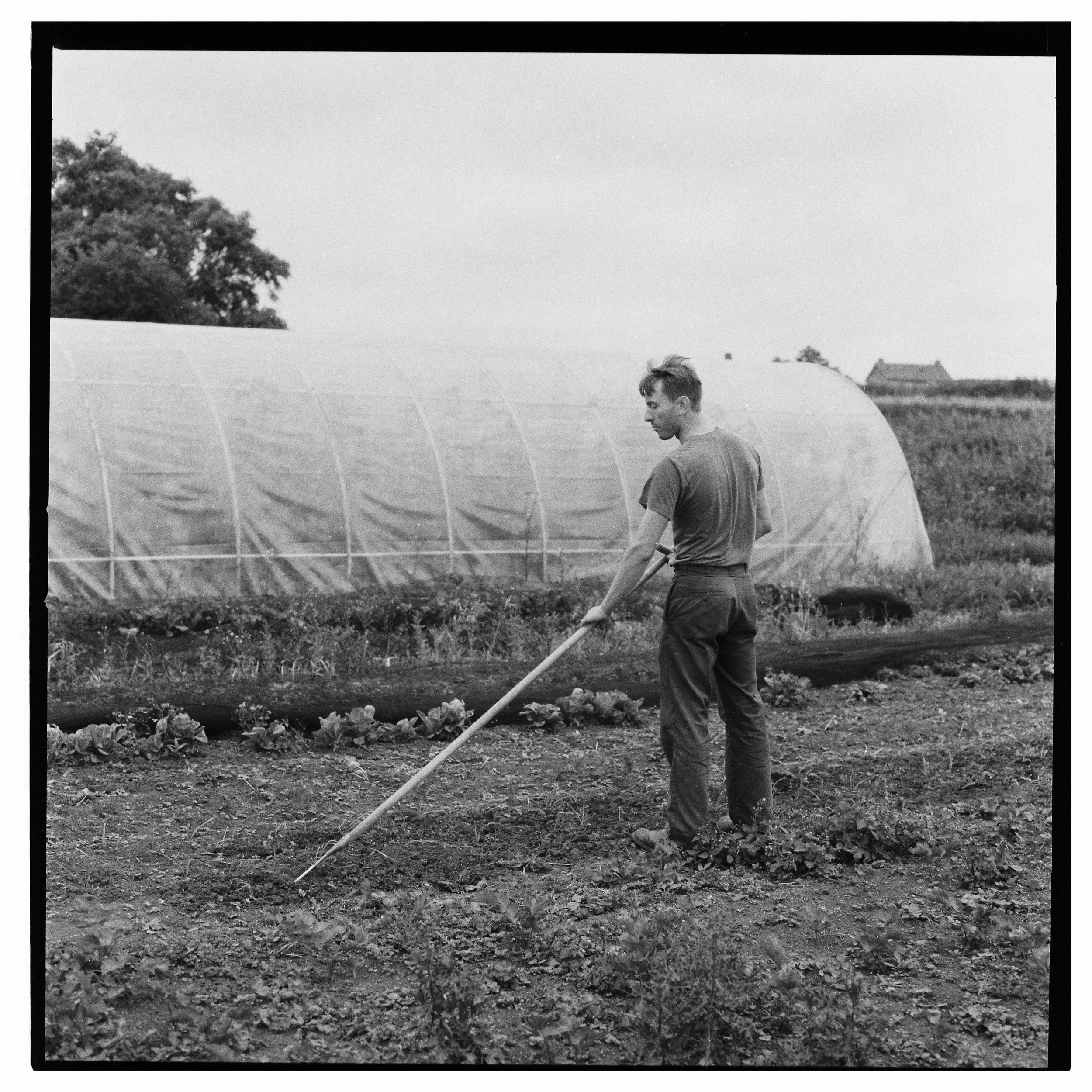 Wesley Verhoeve RollH021-4.jpg