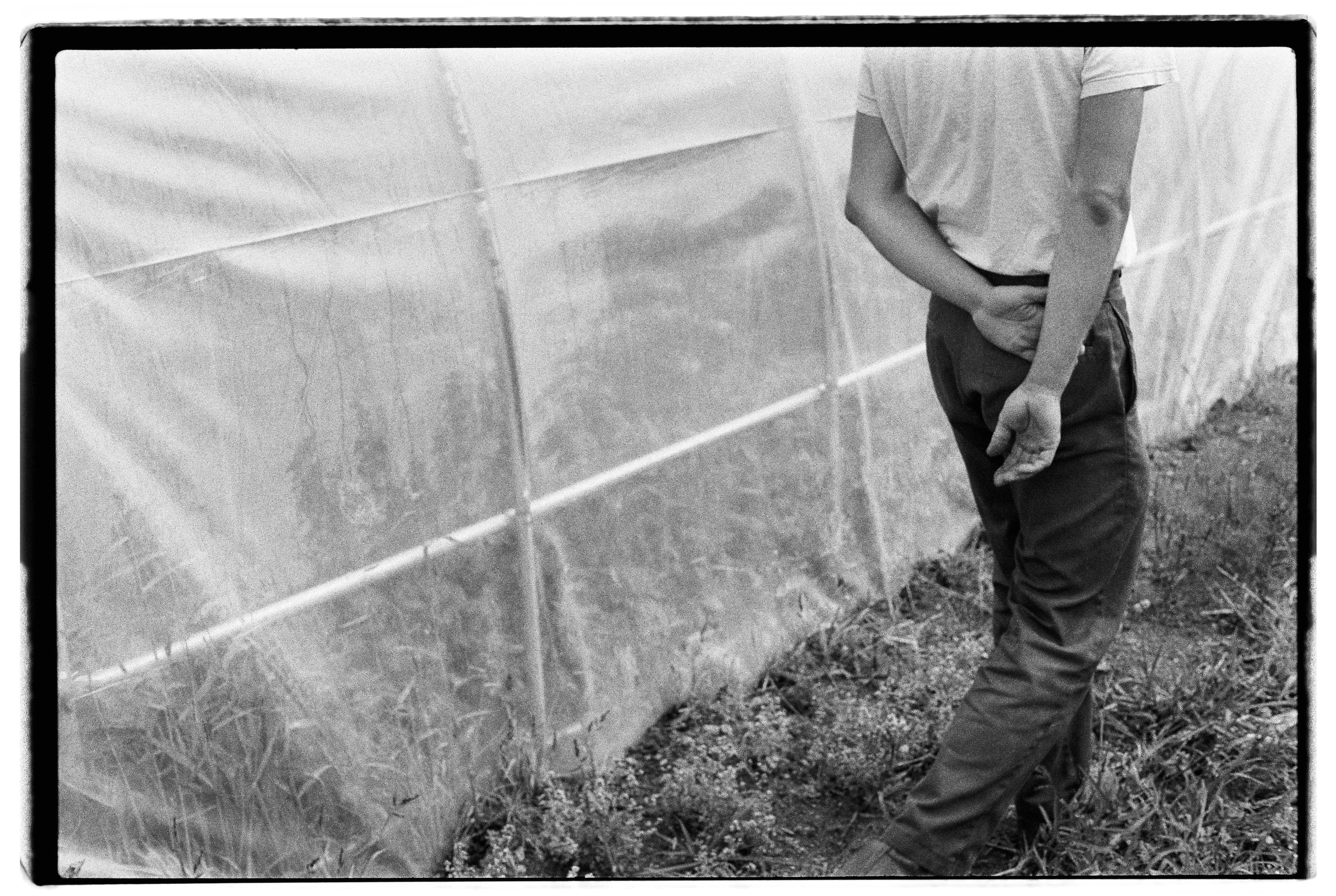 BW LX 135 Roll229 B-R DobleXX-24.jpg