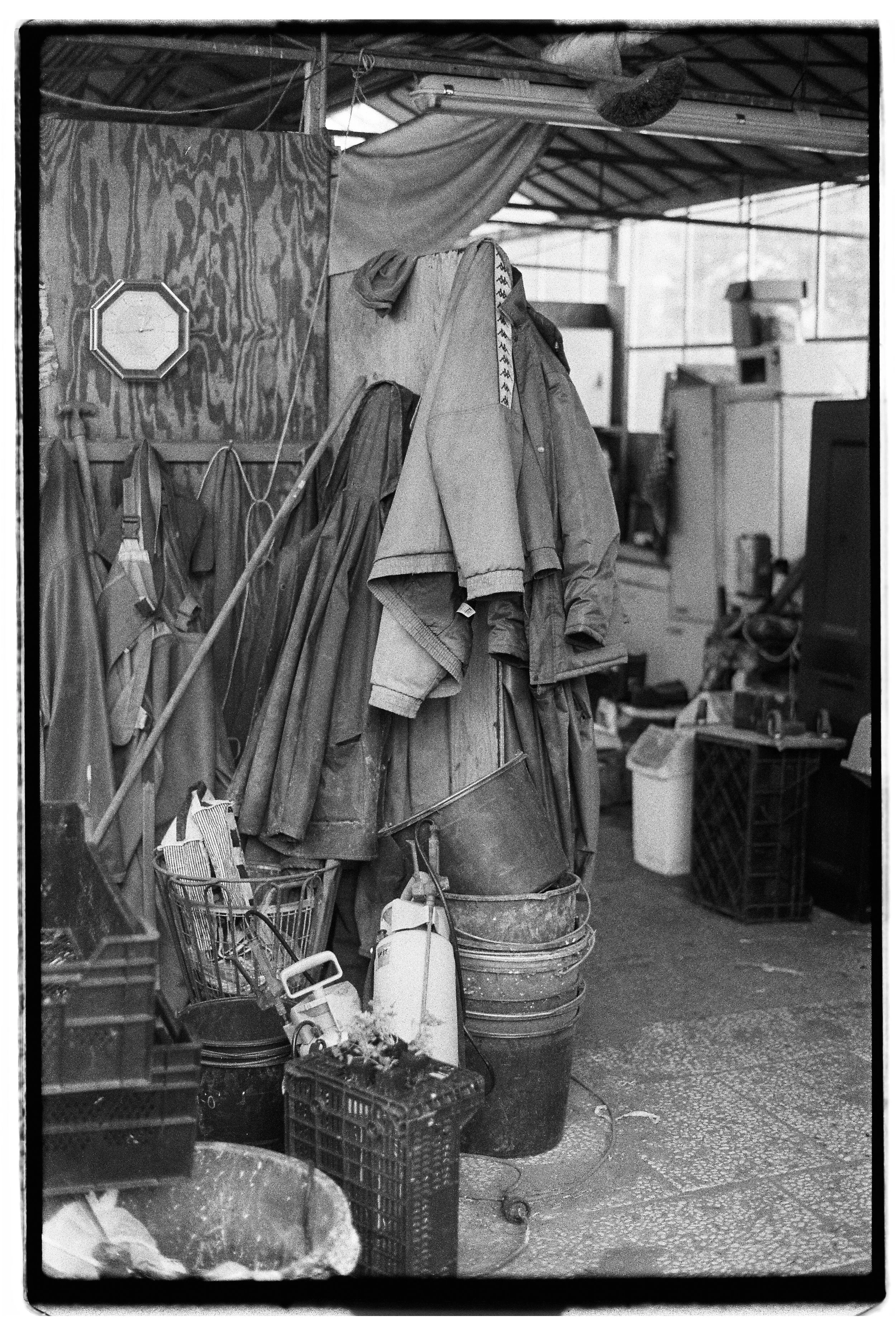 BW LX 135 Roll229 B-R DobleXX-7.jpg