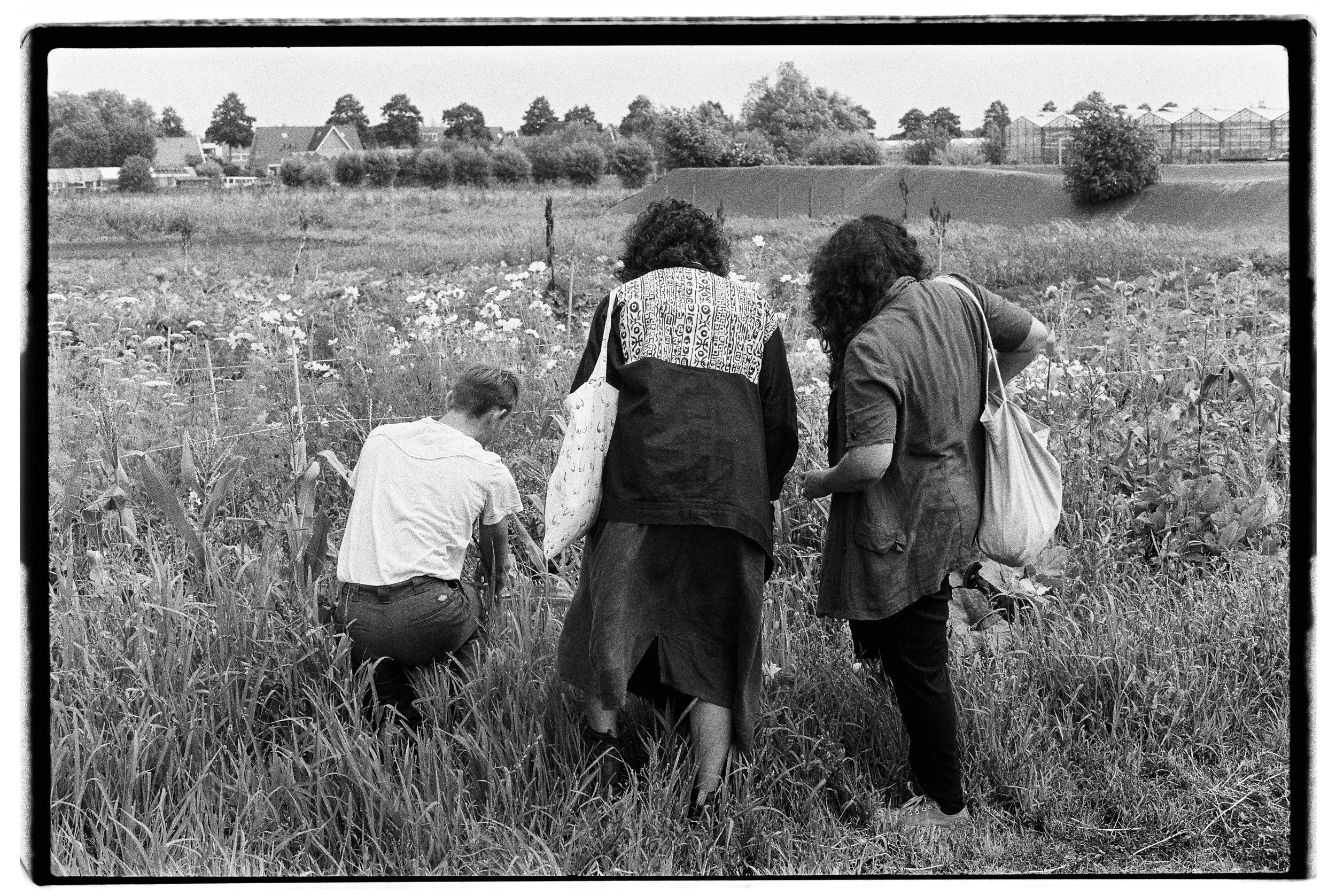 BW LX 135 Roll229 B-R DobleXX-15.jpg