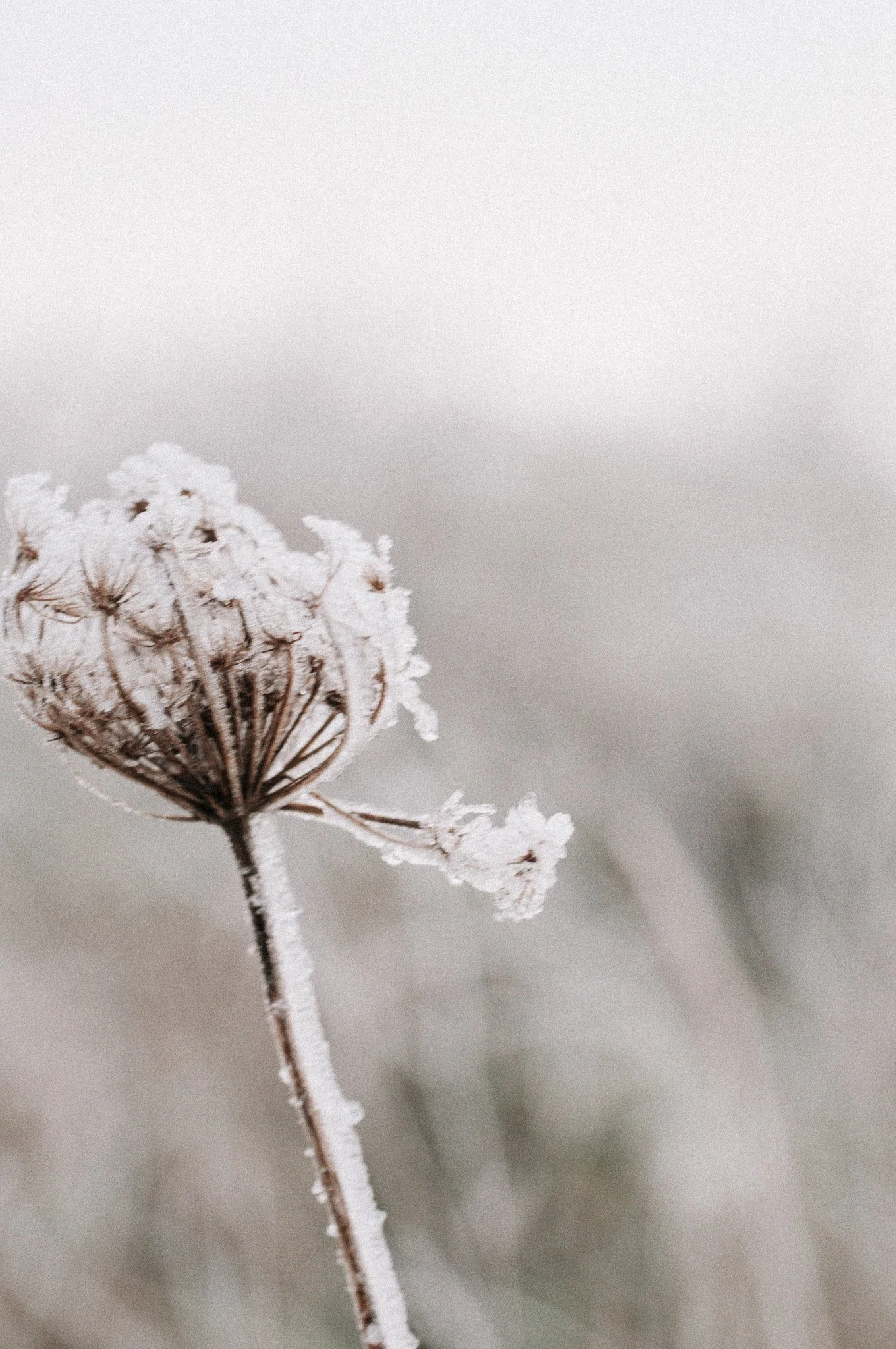 De kracht van stilte en niets doen