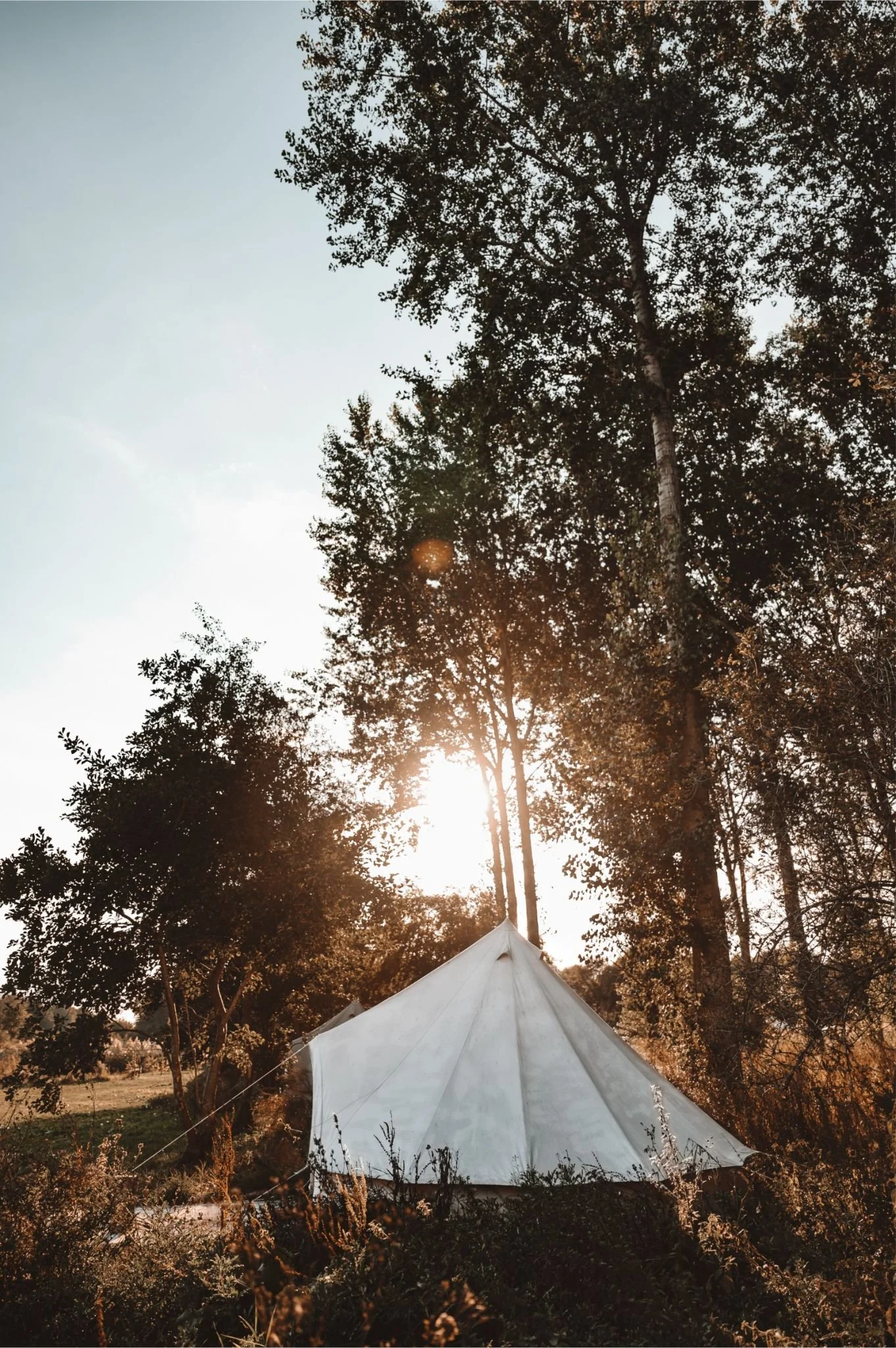 Yogaweekend in de natuur Flevoland