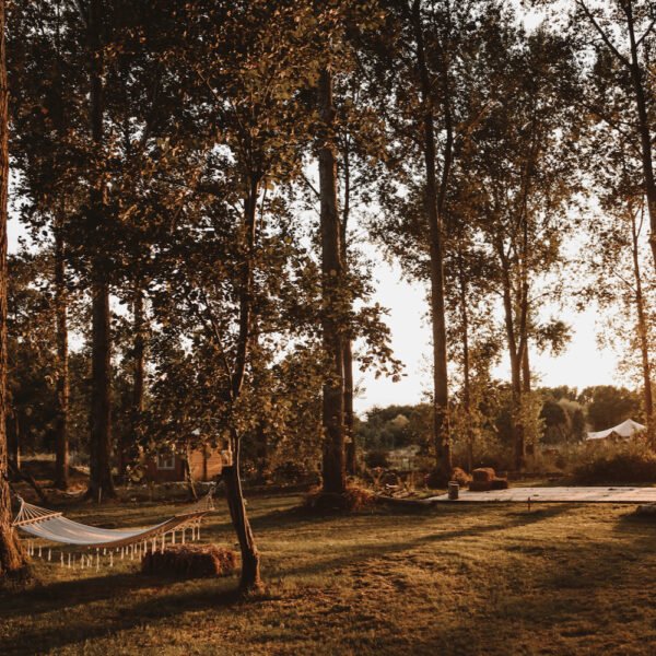 Yoga in de natuur retraite weekend .jpeg