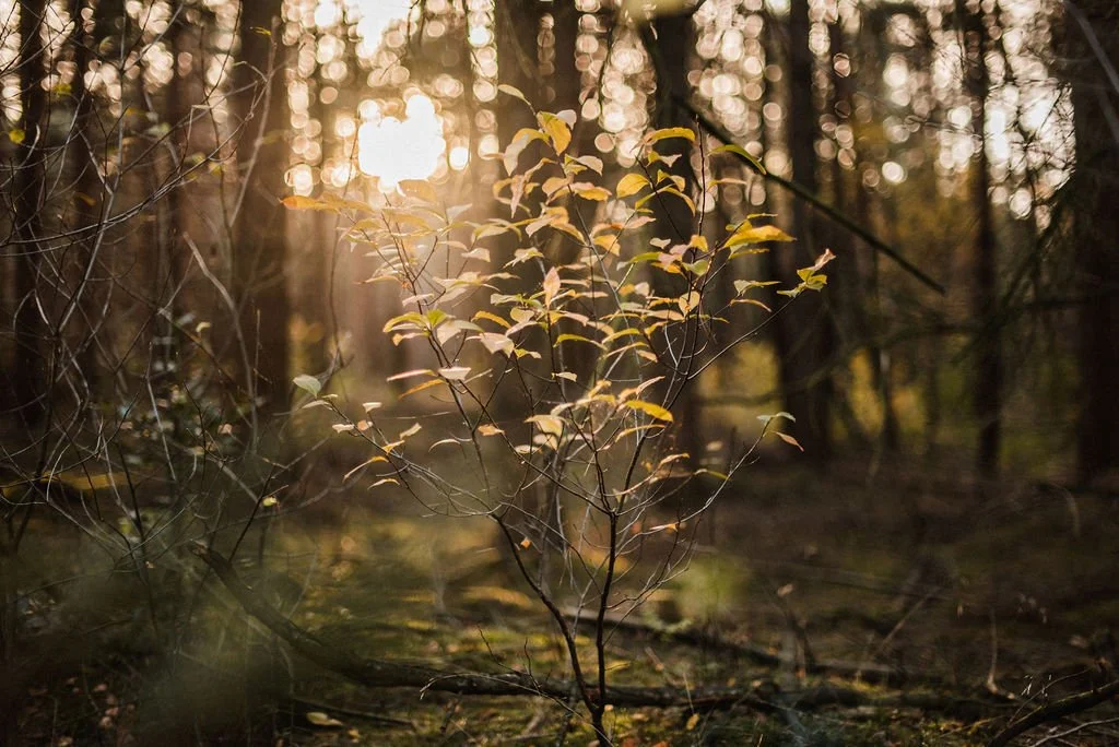 Selfcare tips om het nieuwe jaar liefdevol te starten